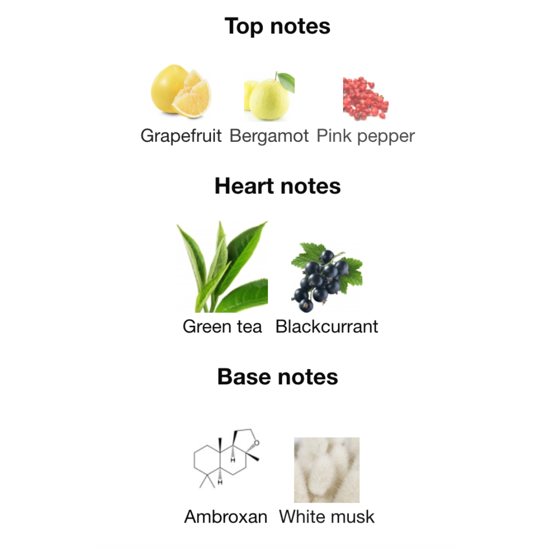 Atlantis Homme EDP 100 ml