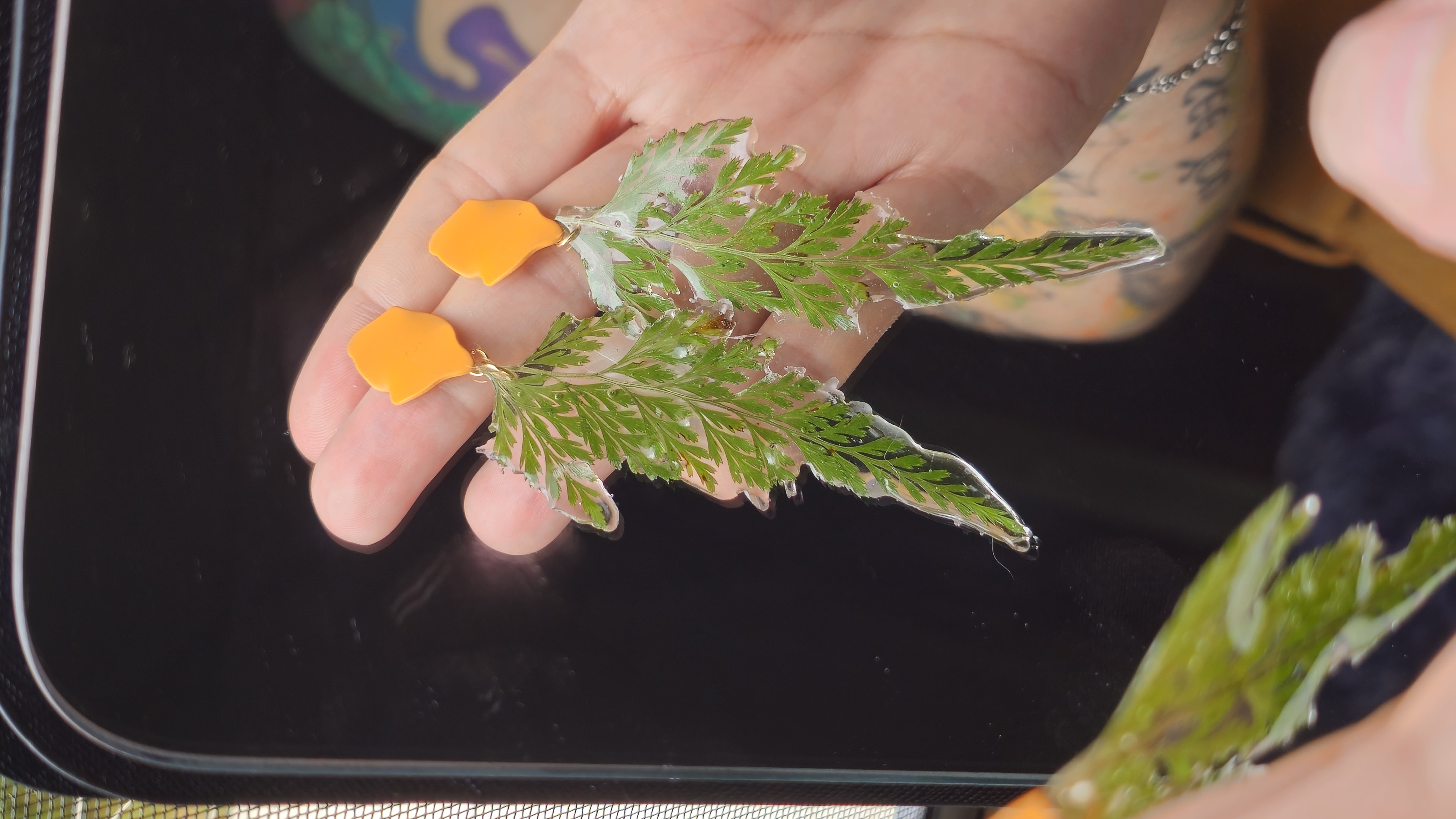 Helechos encapsulados