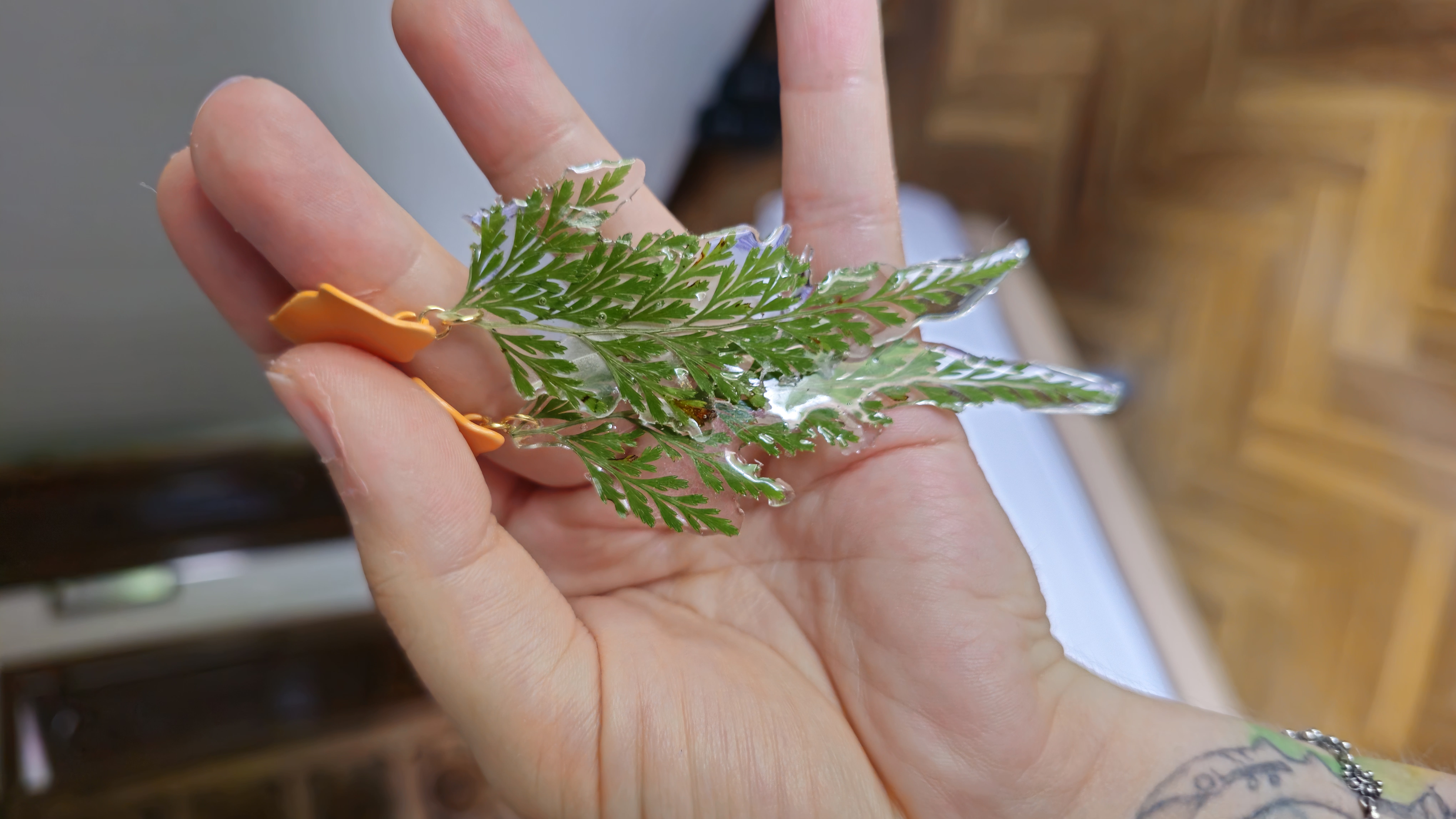 Helechos encapsulados