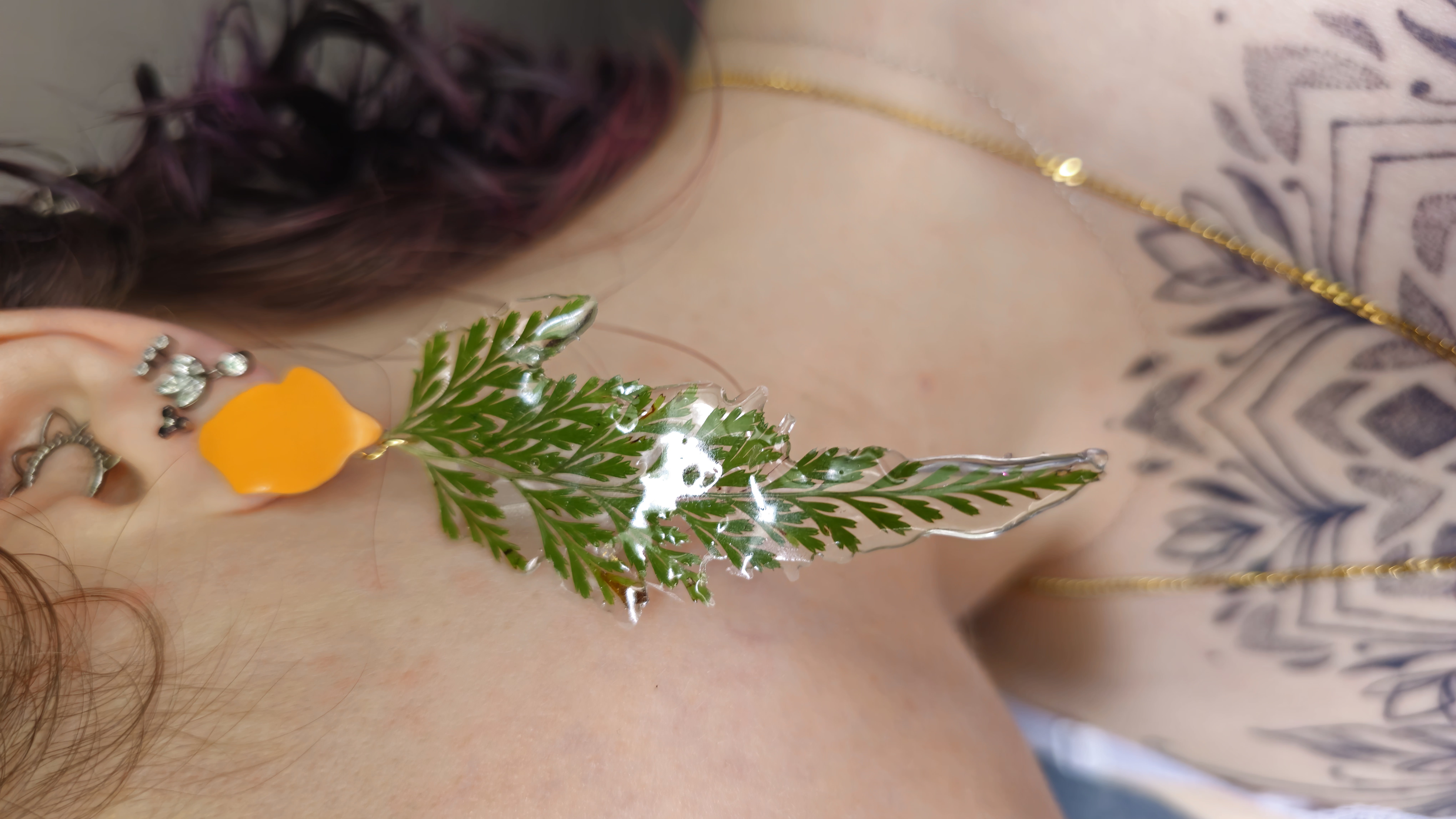 Helechos encapsulados