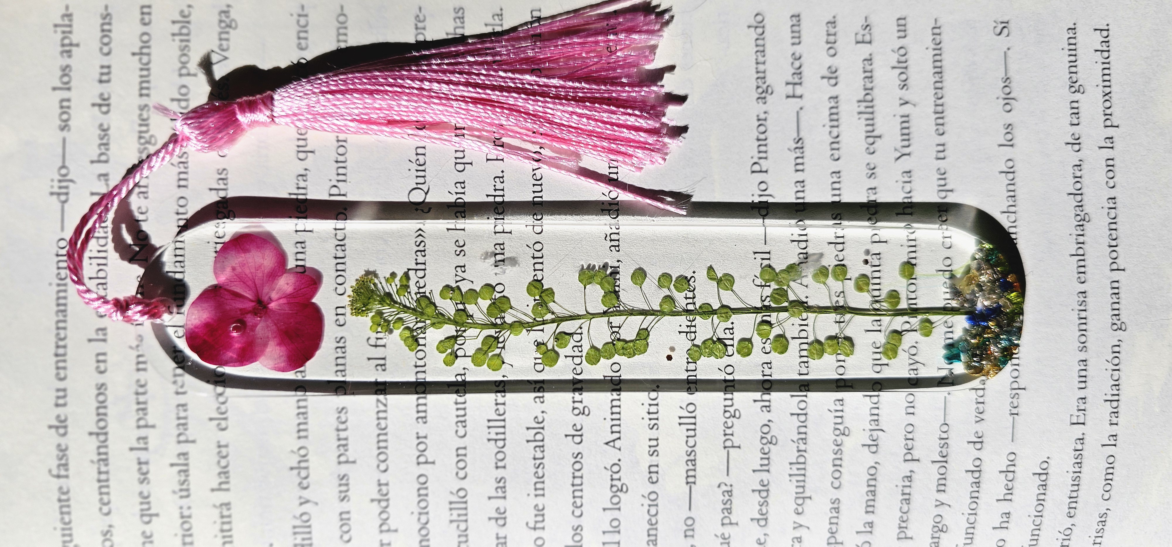 Separador de libros
