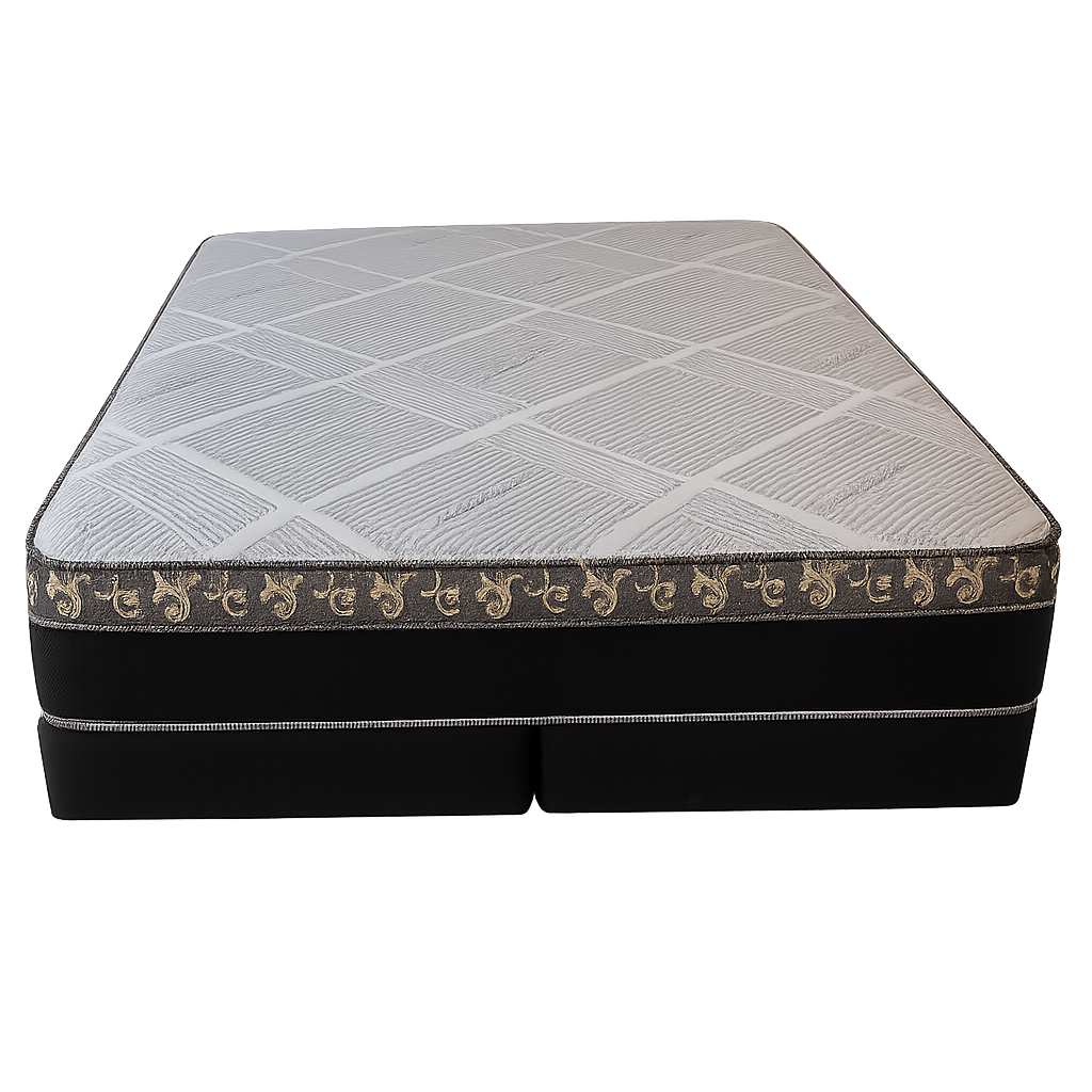European Pillow-Top  (FREE BOX SPRING)