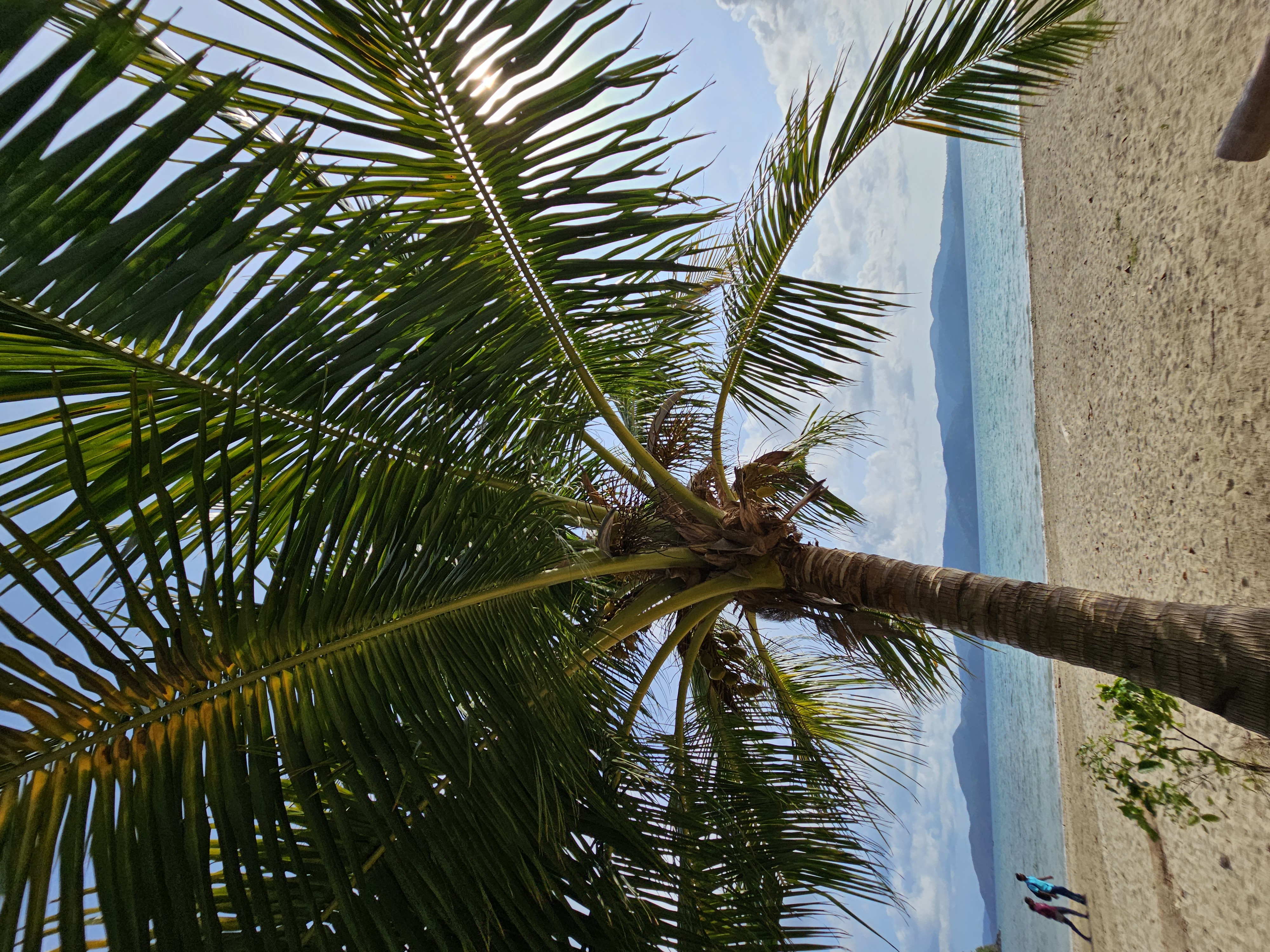 3N 4D Andaman Holiday Package