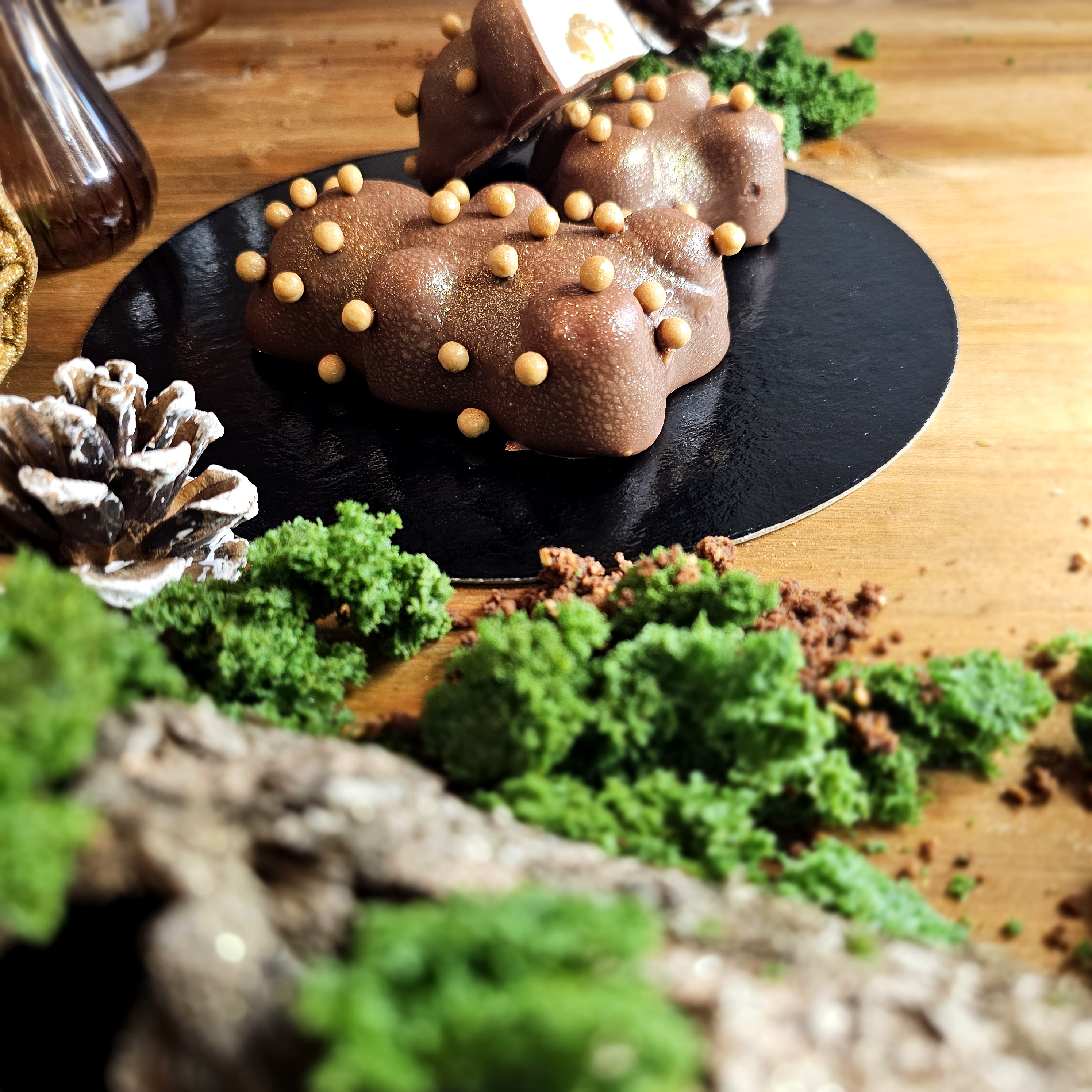 Le Petit Ourson des Bois 