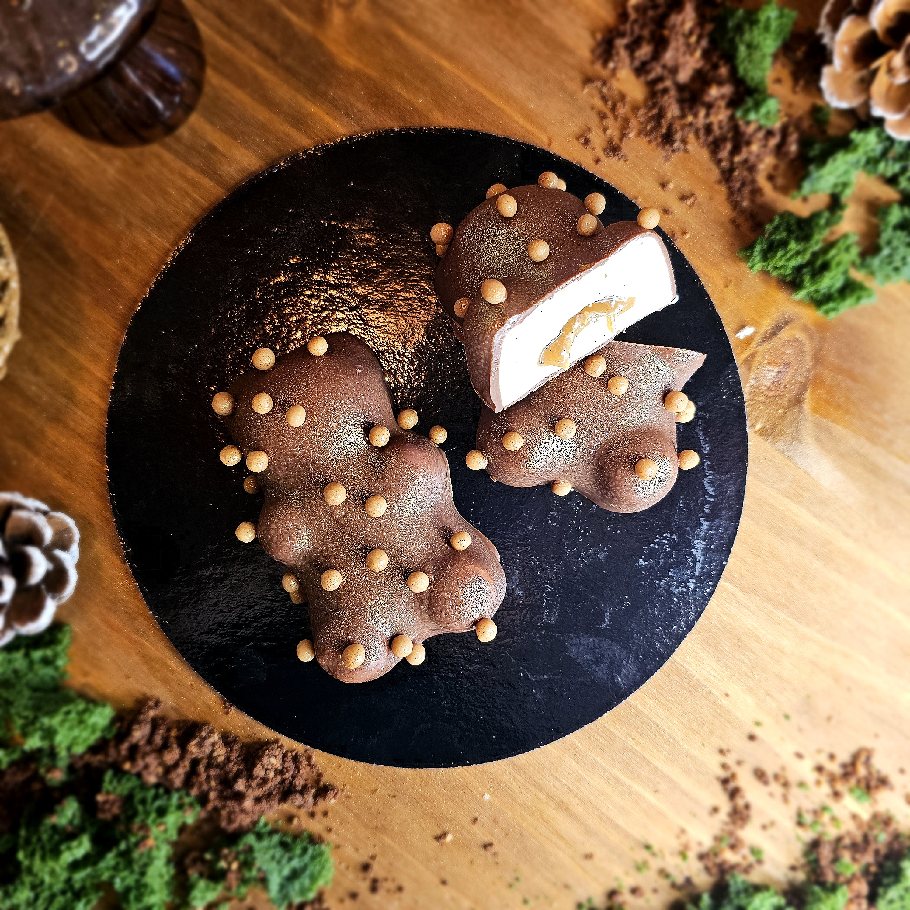 Le Petit Ourson des Bois