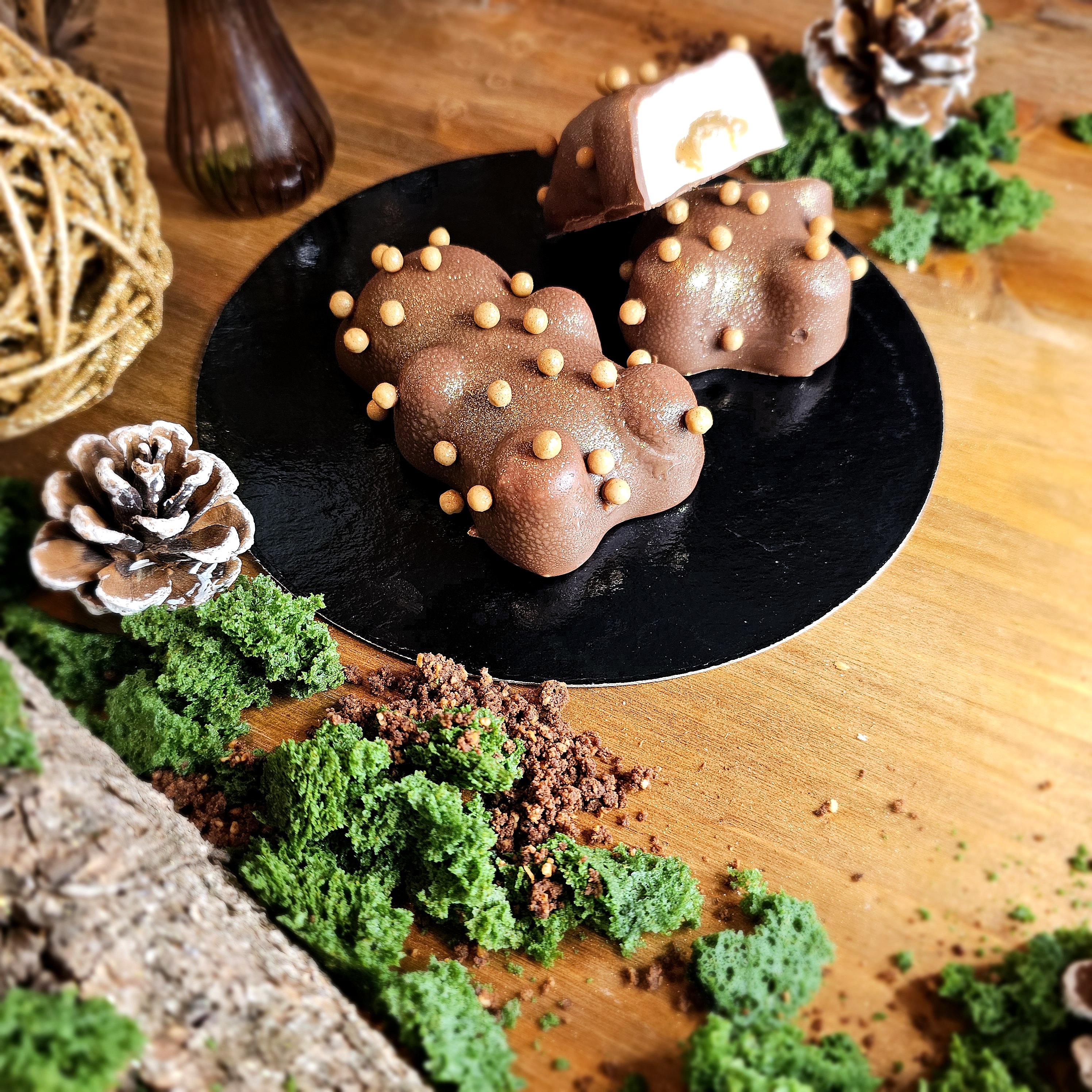 Le Petit Ourson des Bois 