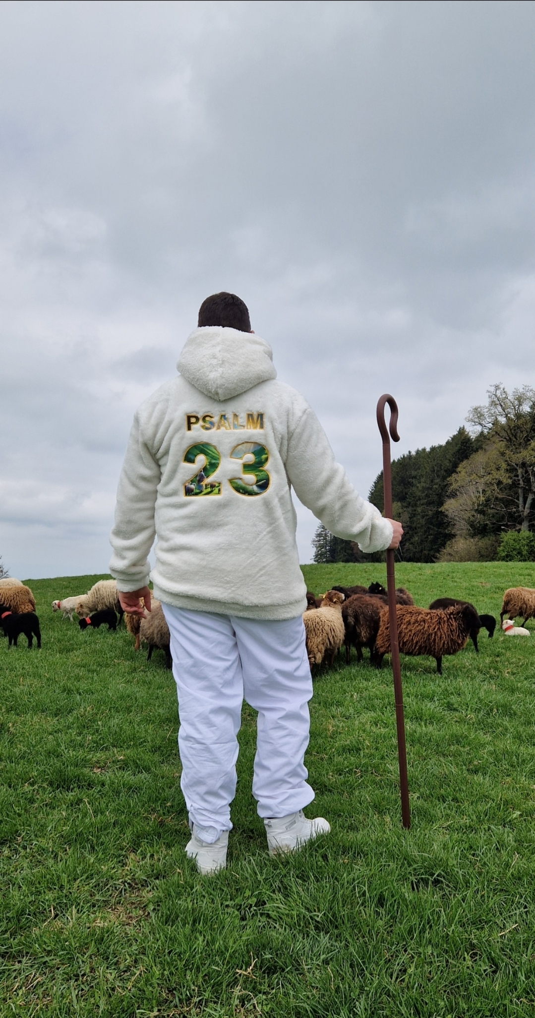 PSALM 23