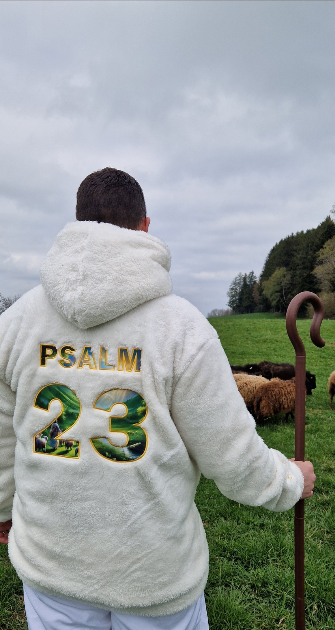PSALM 23