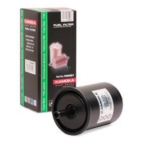 Filtre à essence KAMOKA F300801 