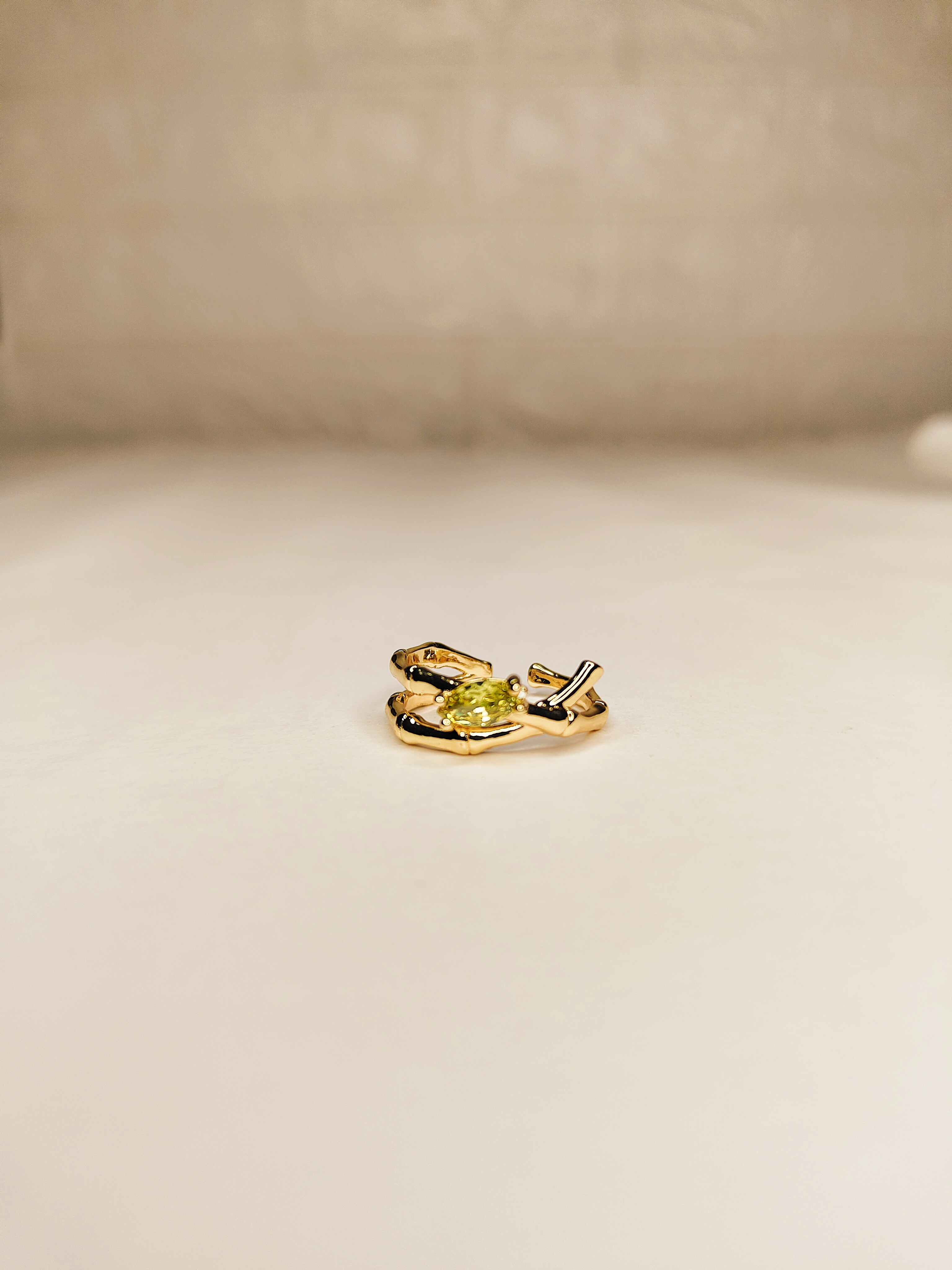 Elegant Gold Ring Embraced with Delicate Stone