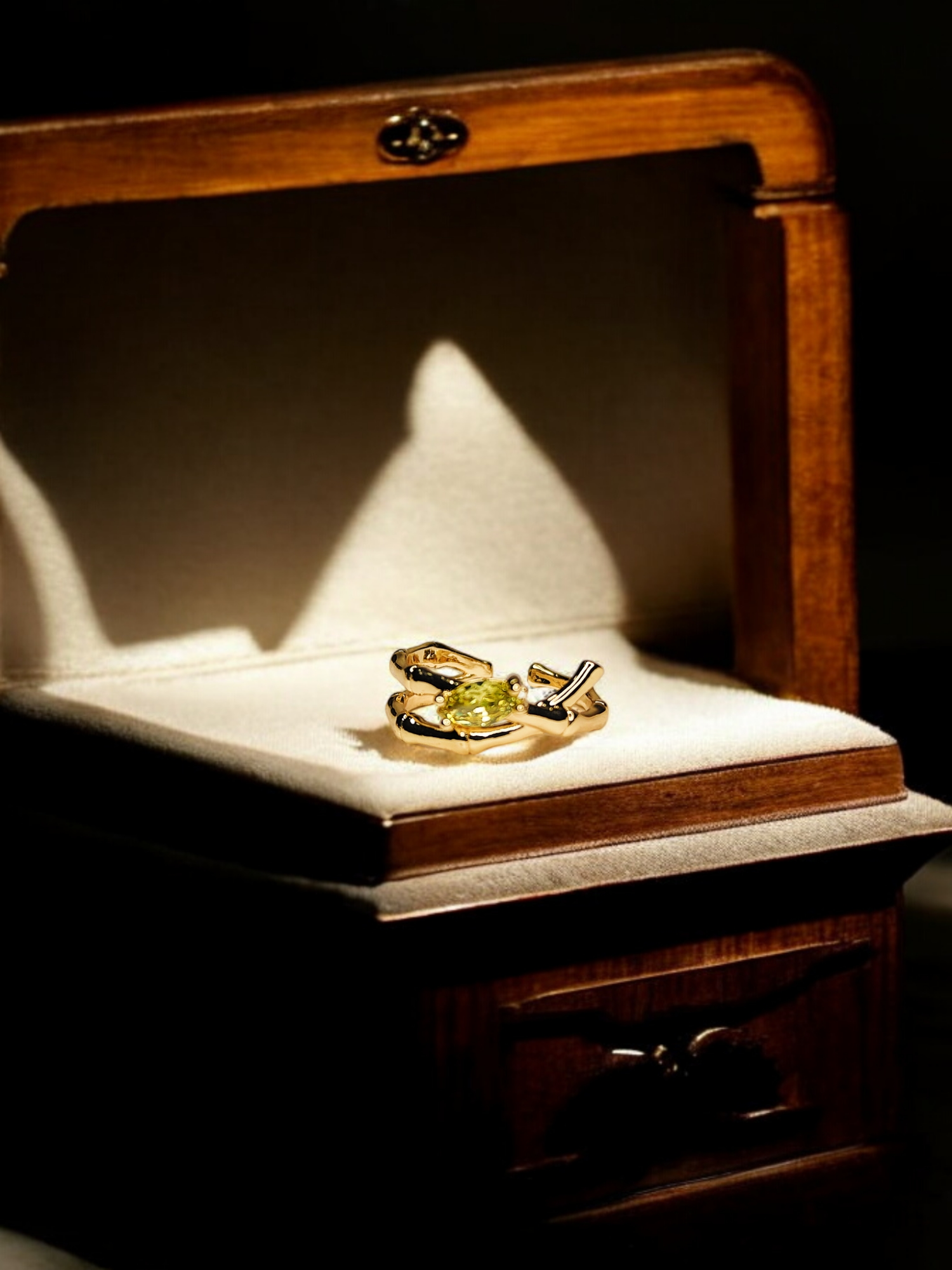 Elegant Gold Ring Embraced with Delicate Stone