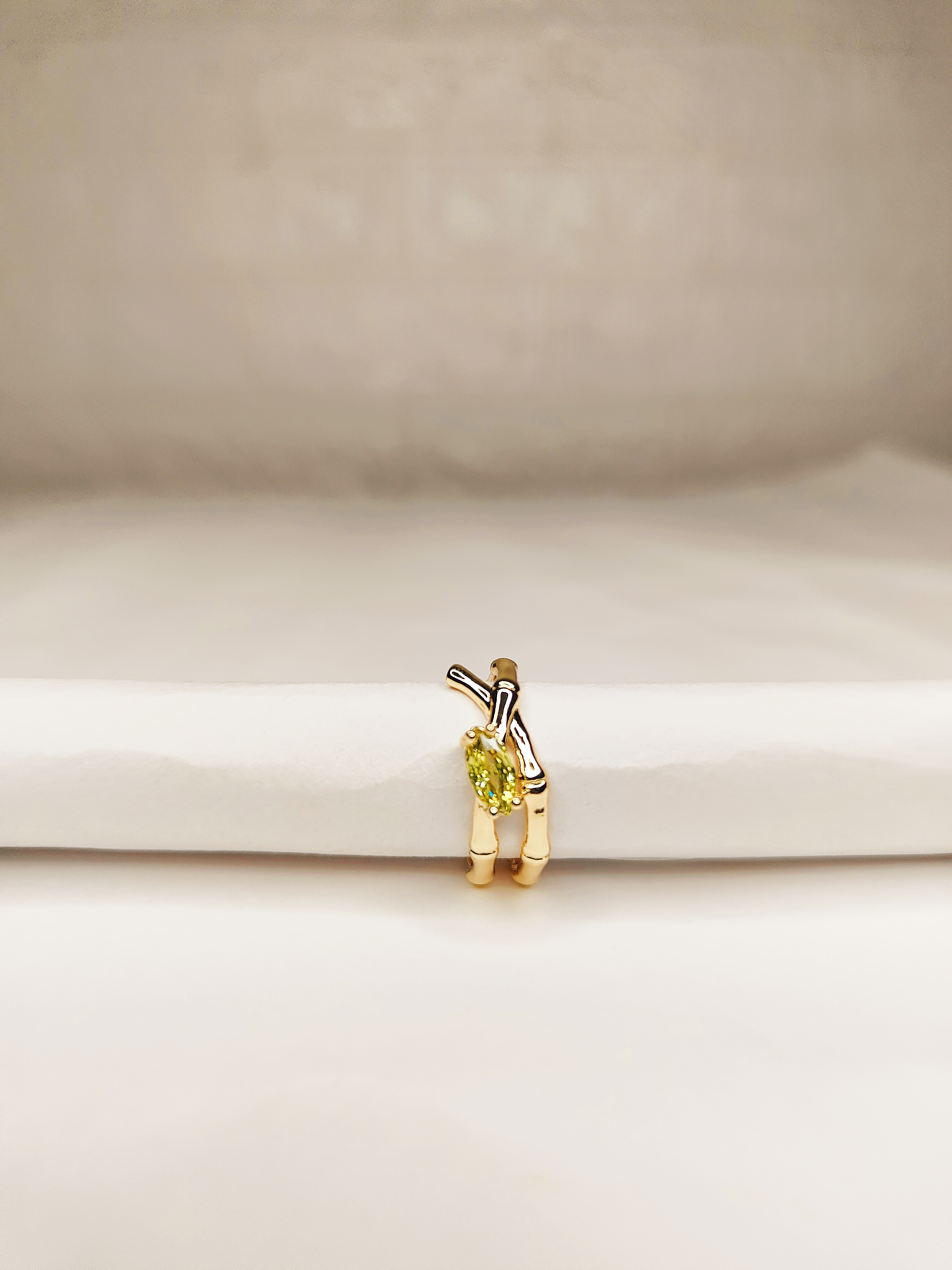 Elegant Gold Ring Embraced with Delicate Stone