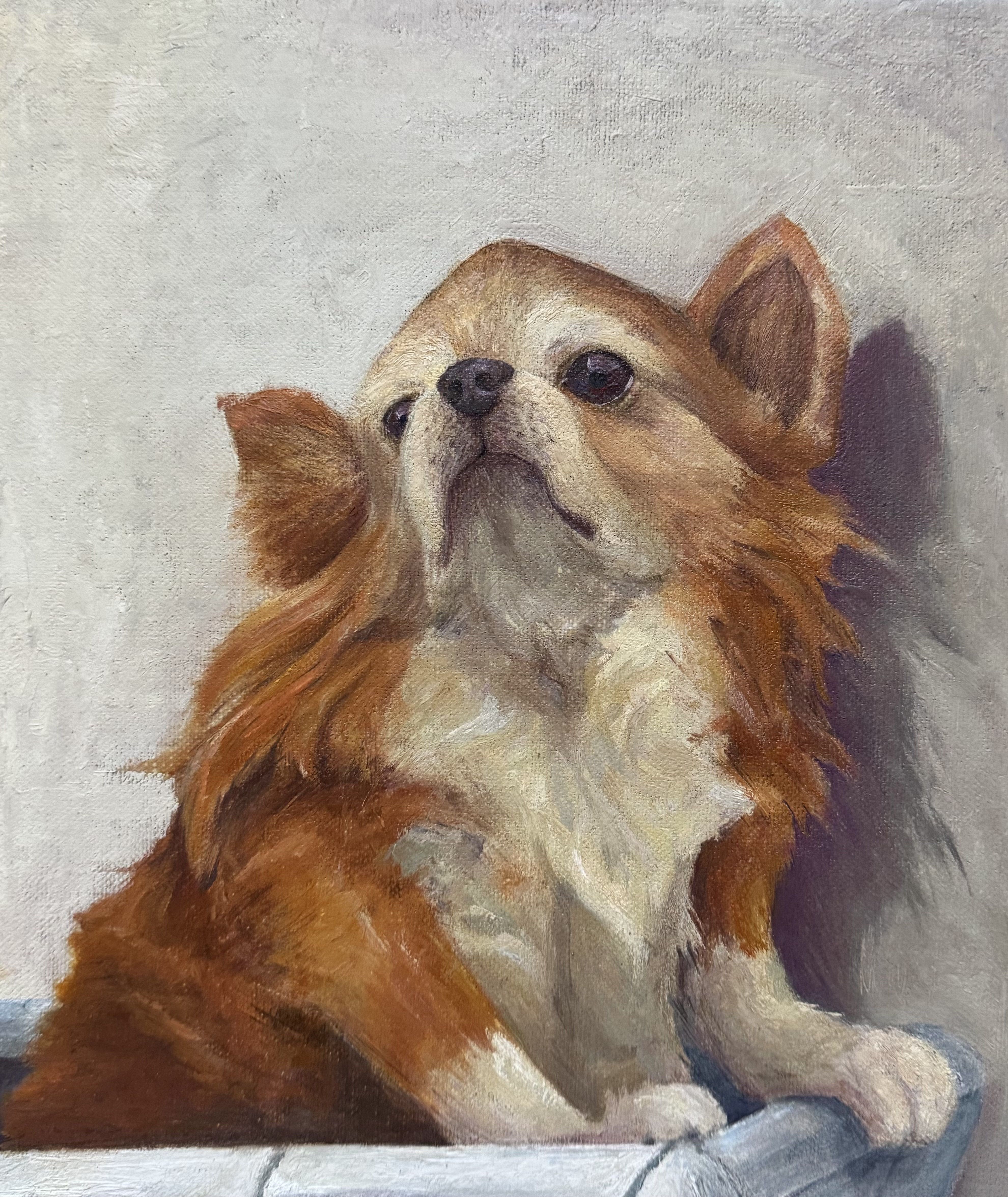 “Old Max” by Salvador Zanor AKA Safr