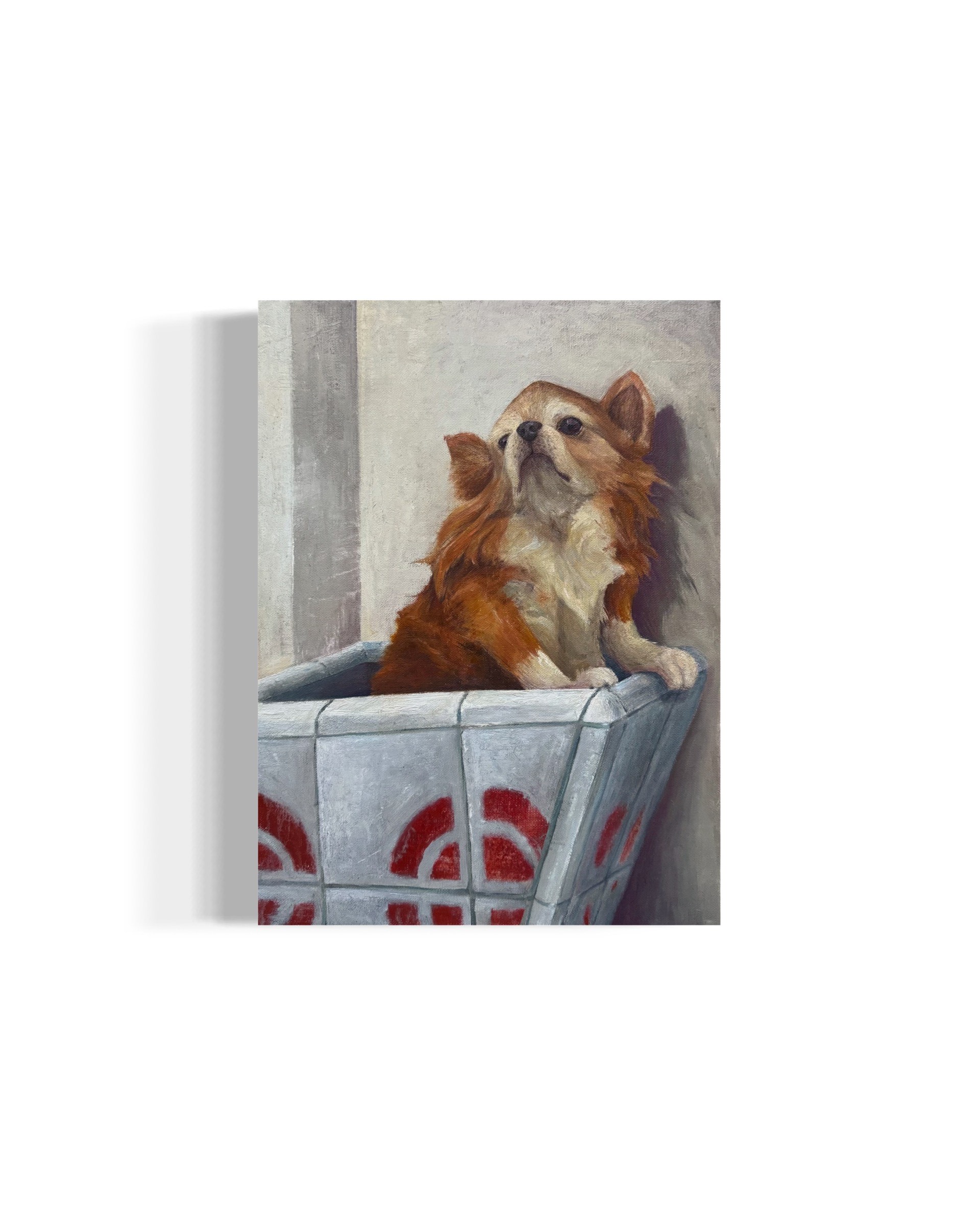 “Old Max” by Salvador Zanor AKA Safr