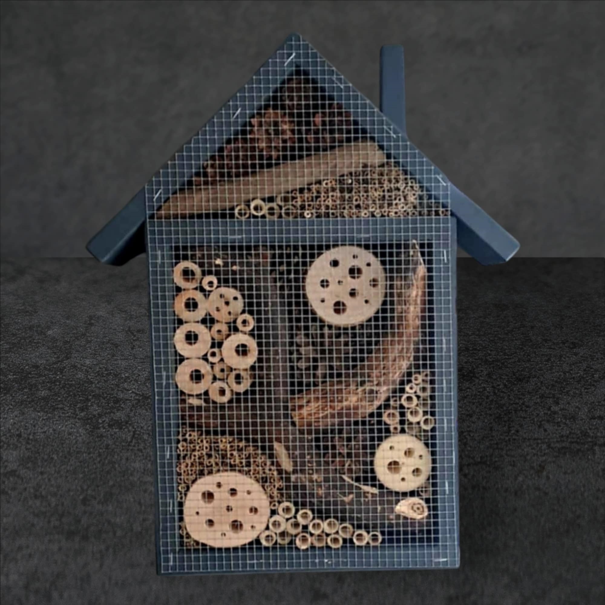 Vabzdžių namelis V-1