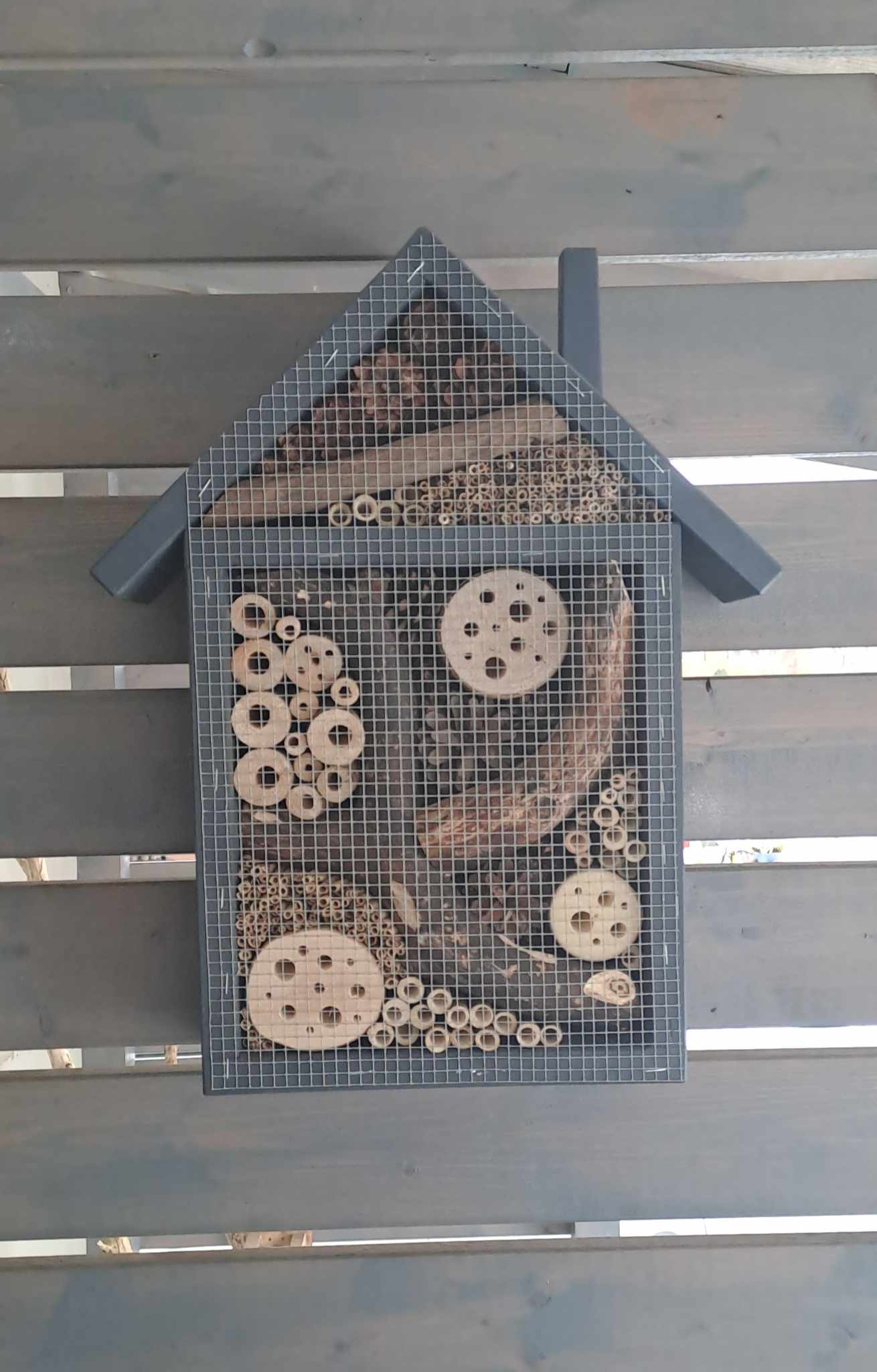 Vabzdžių namelis V-1