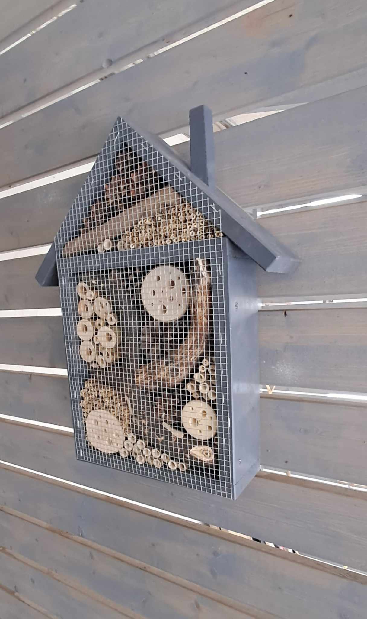 Vabzdžių namelis V-1