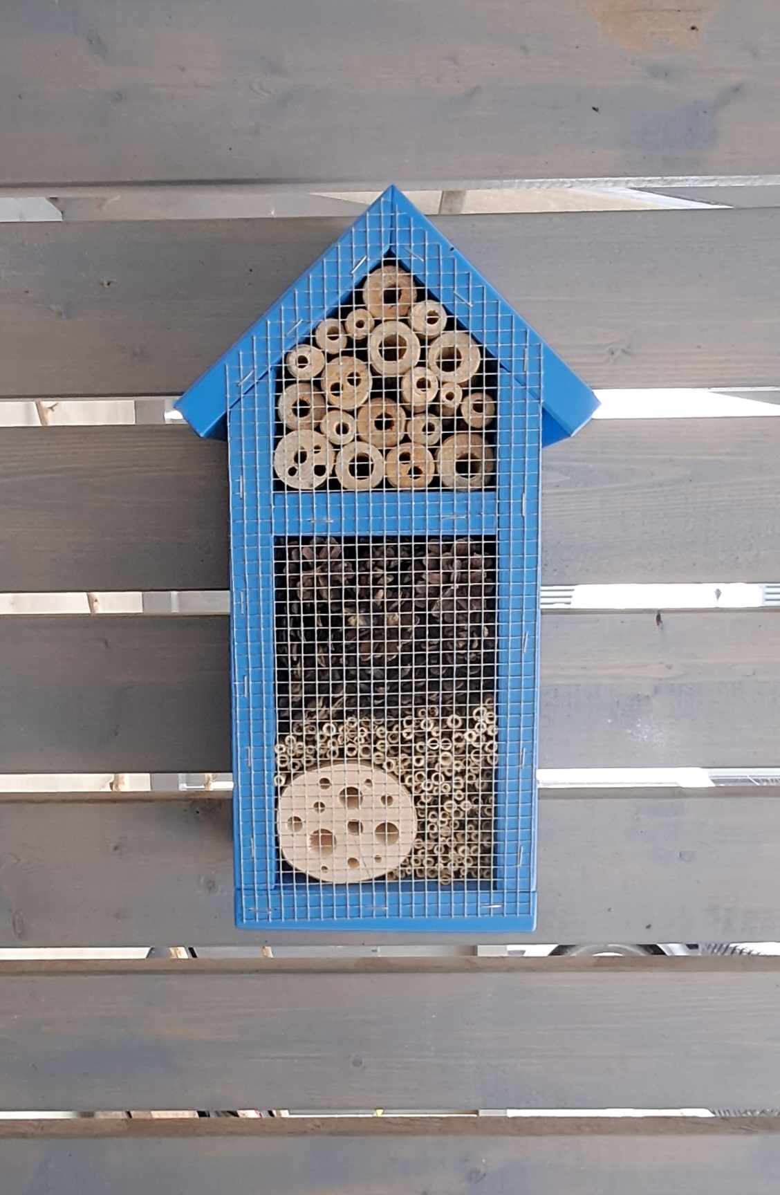 Vabzdžių namelis V-2