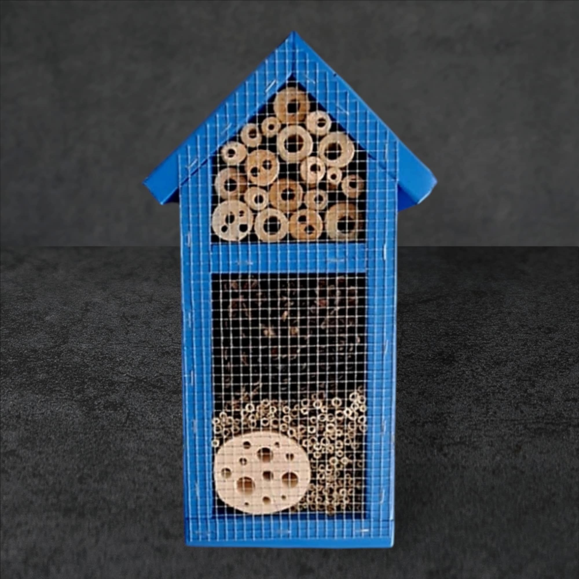 Vabzdžių namelis V-2