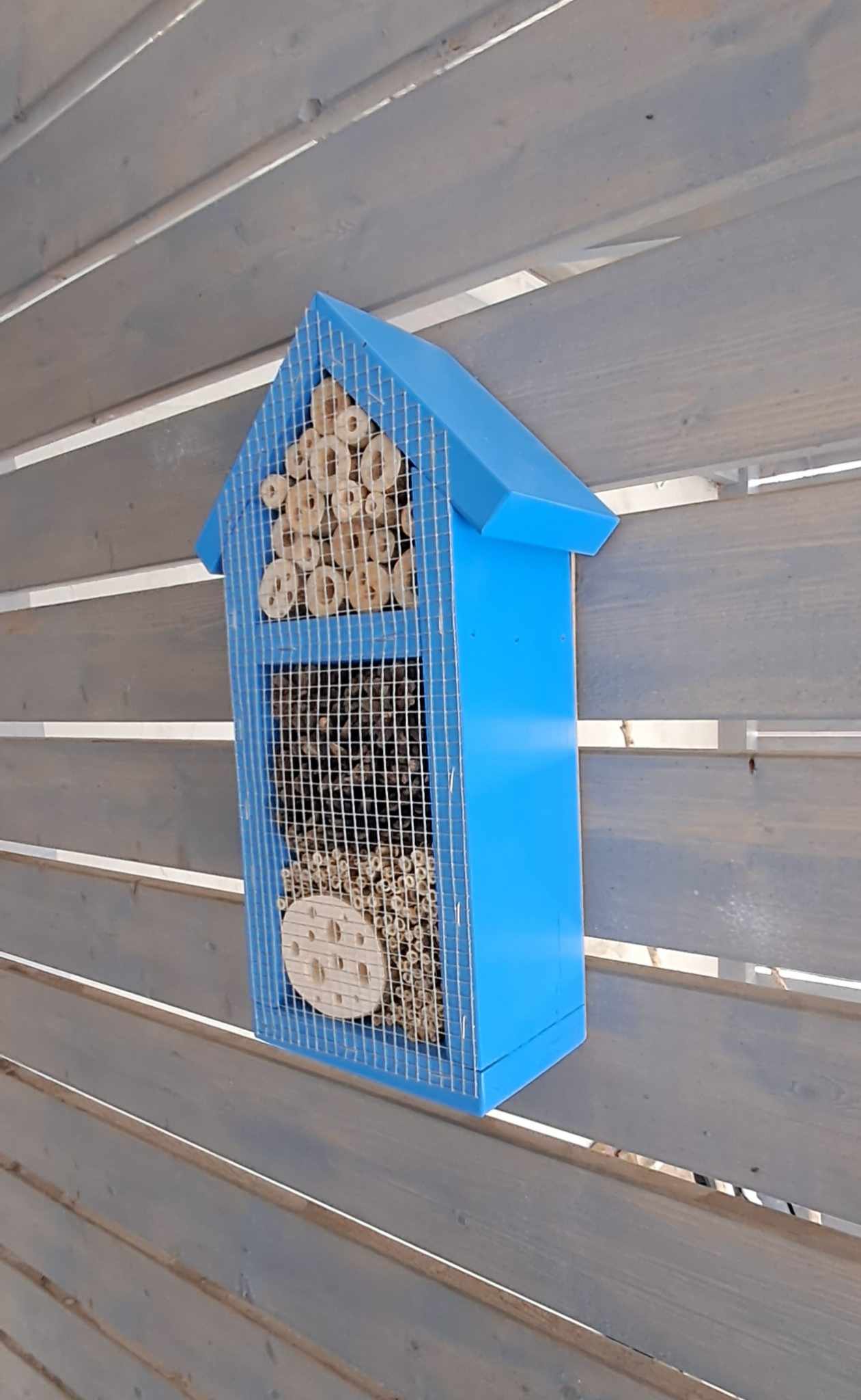 Vabzdžių namelis V-2