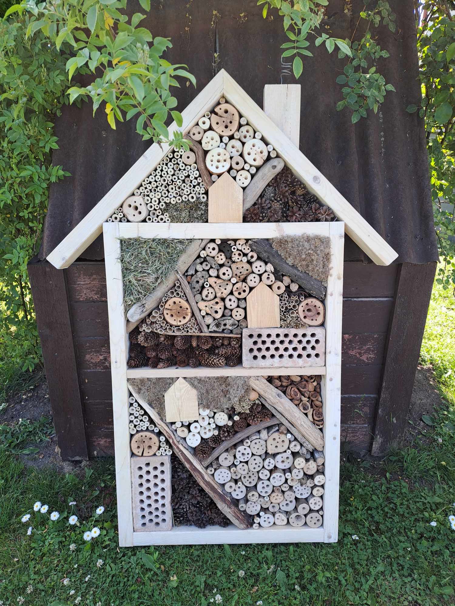 Išankstinis užsakymas