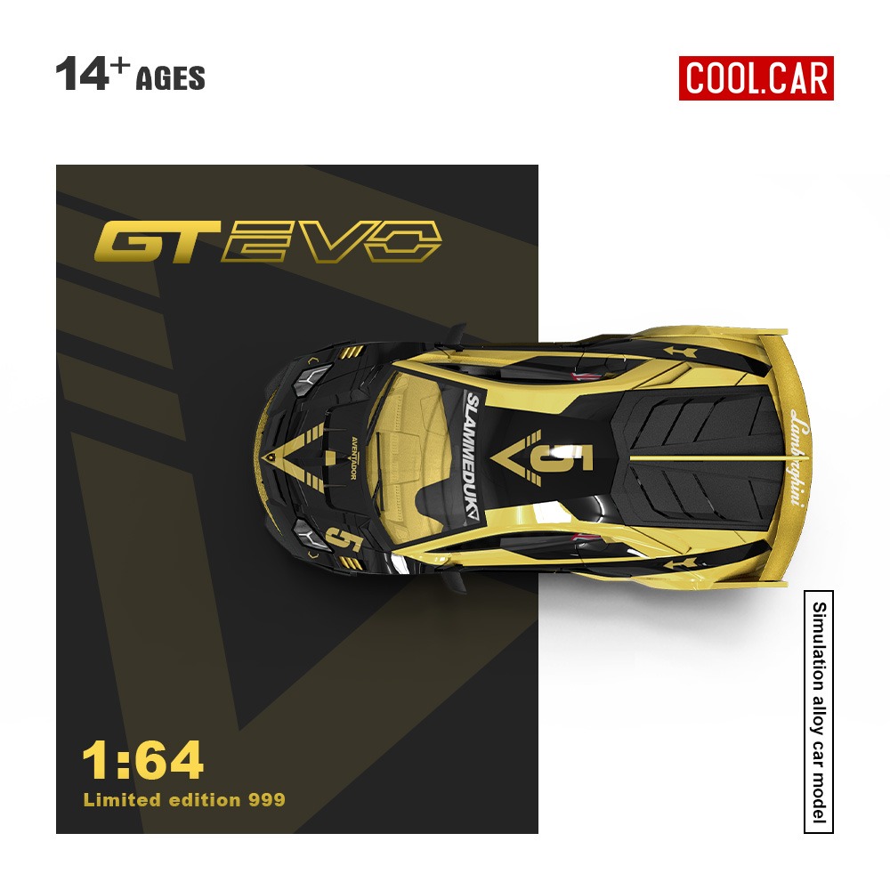 Cool Car Lamborghini GTEVO V5 black and gold painted 