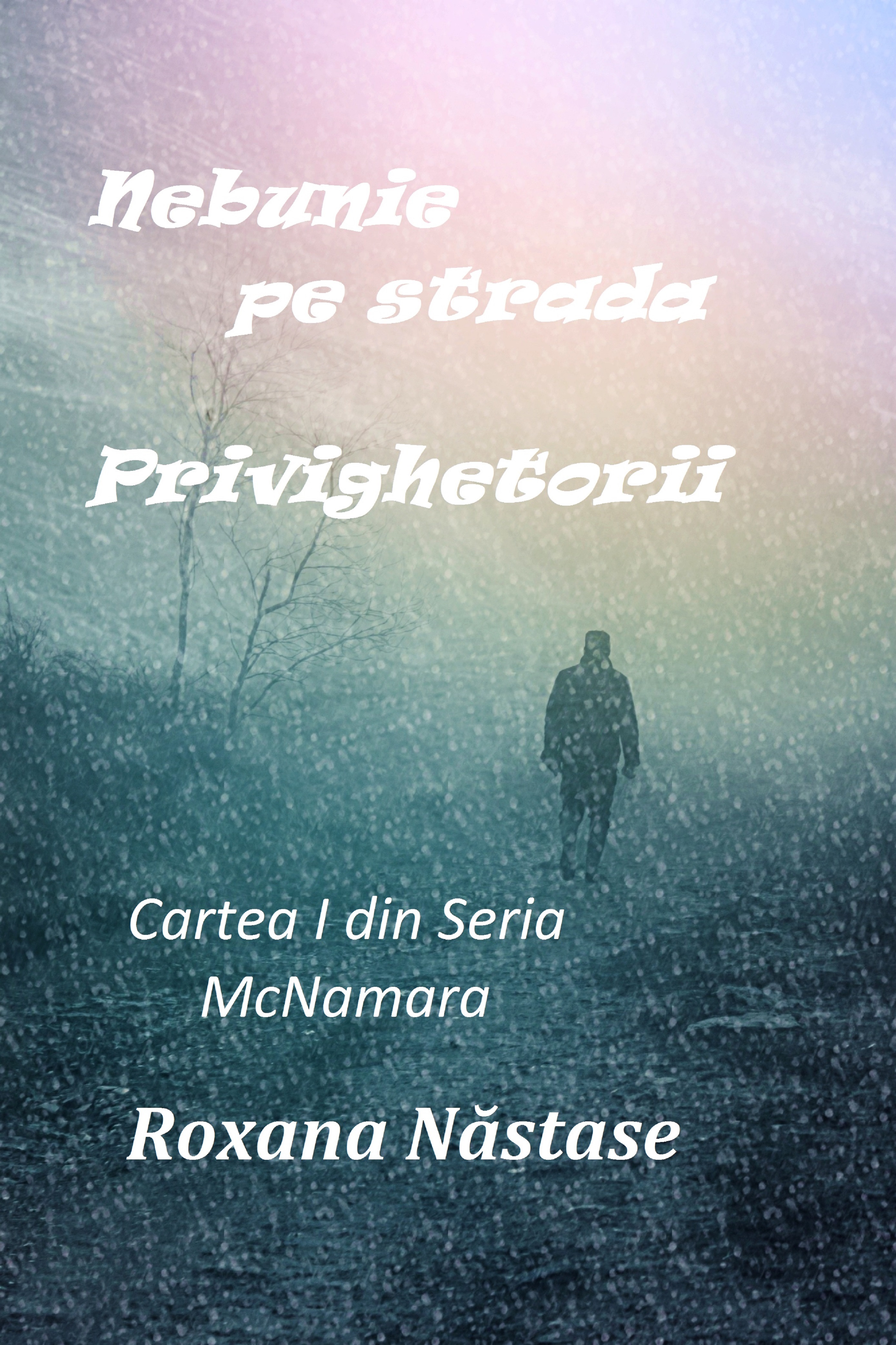 Nebunie pe strada Privighetorii - Roxana Năstase (carte broșată)