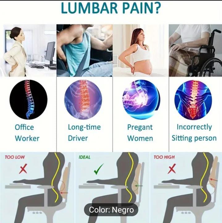 Cojín de soporte lumbar