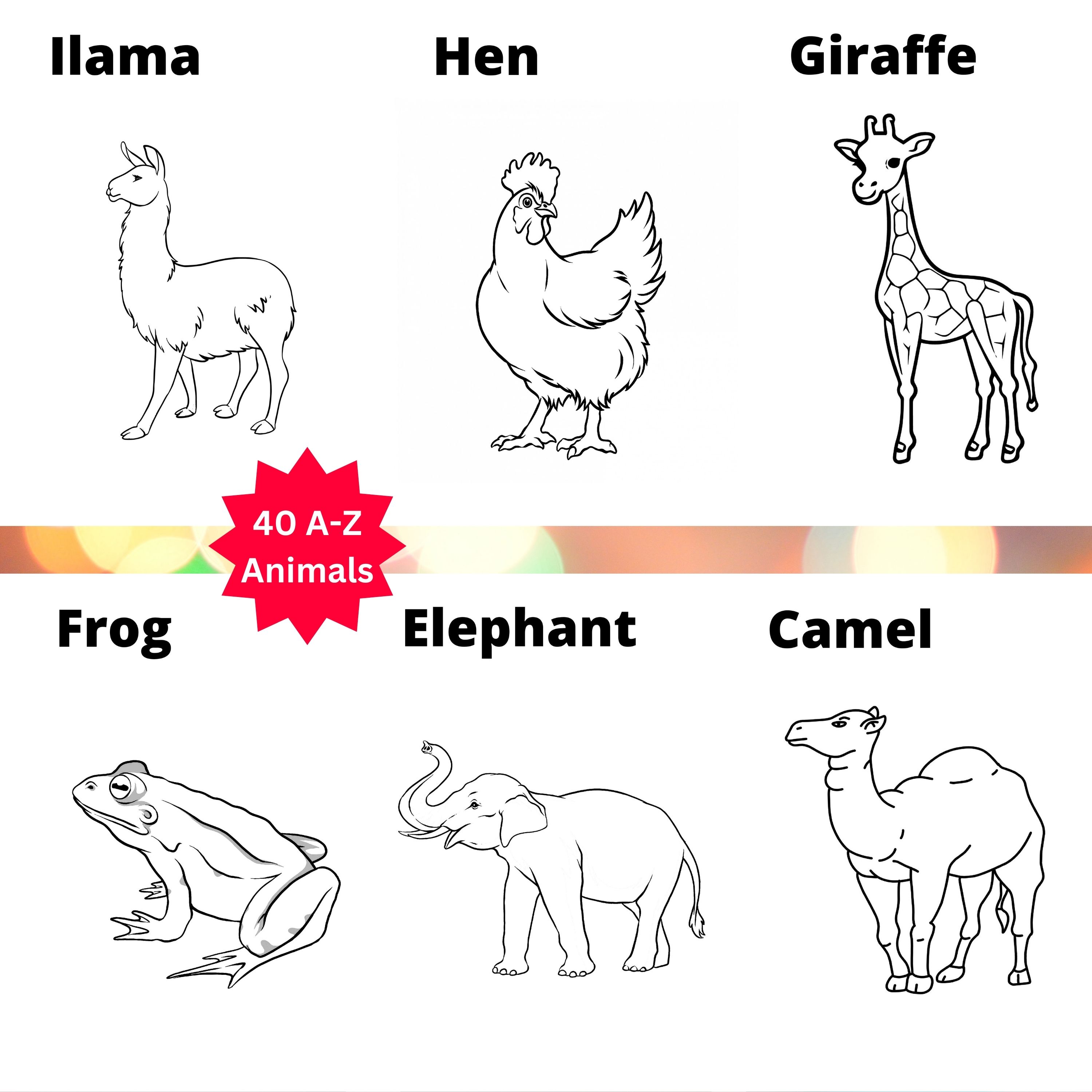 A-Z Animal Coloring Book
