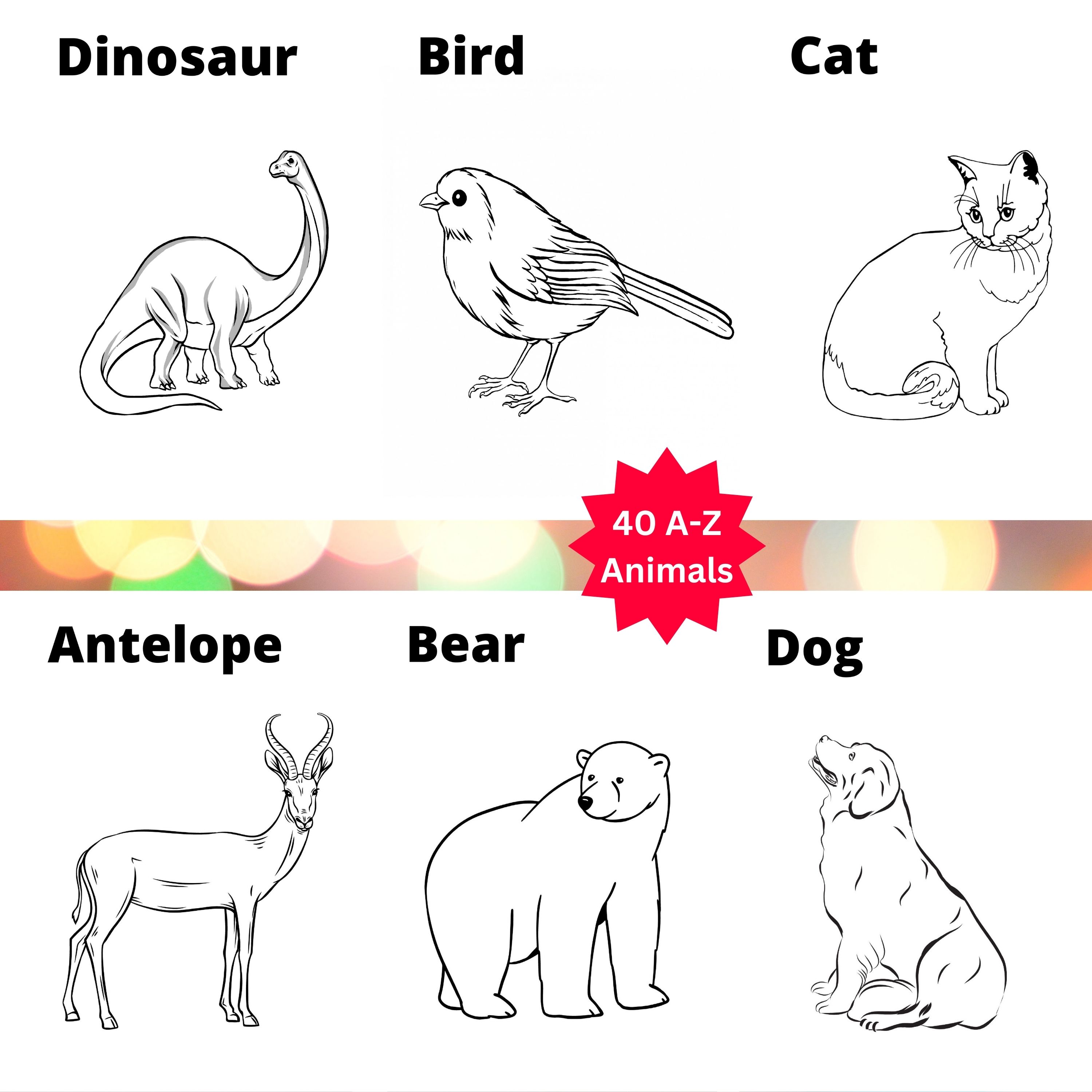 A-Z Animal Coloring Book