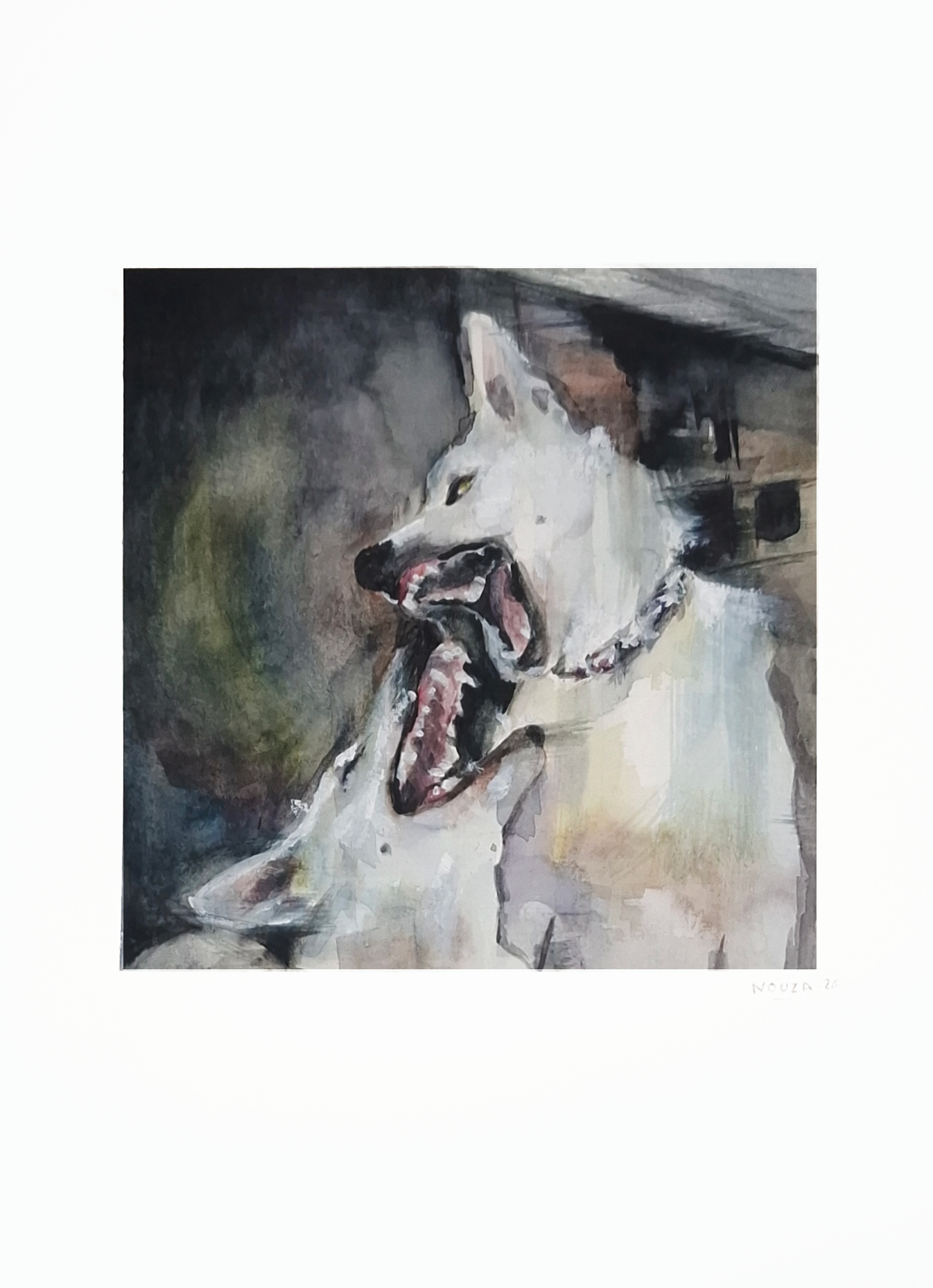 Disorganized mfs when there is the slightest sign of rejection