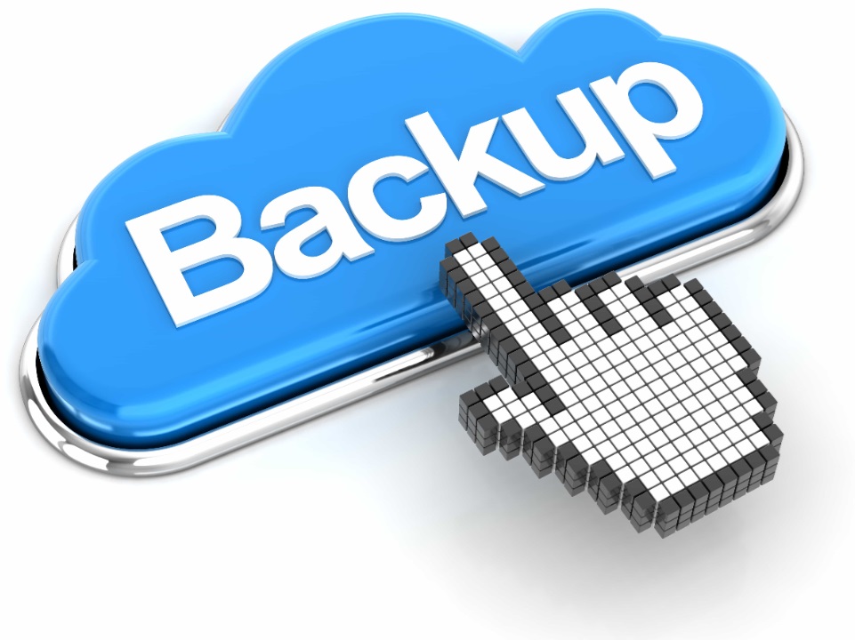 Daily Backups