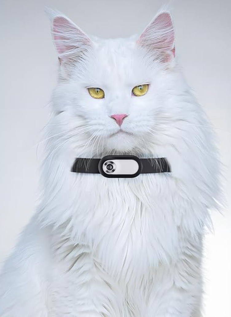HD 1080P Cat Camera Collar,Dog Camera Collar with 32GB SD Card