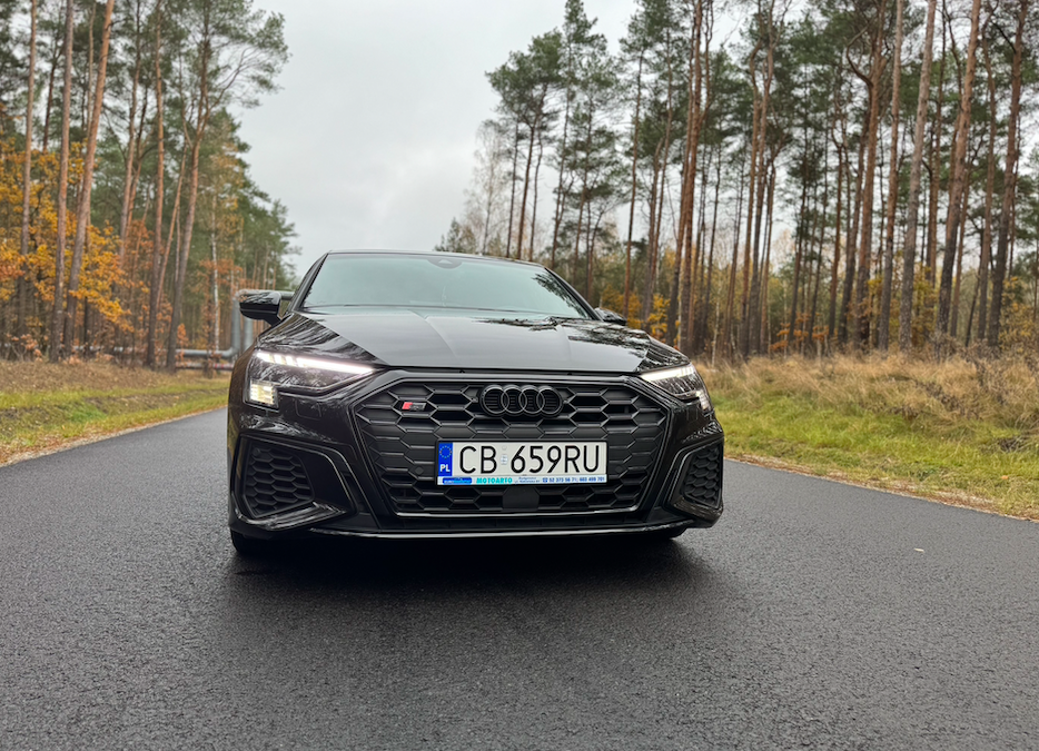 Audi S3 2.0 TFSI (2021)