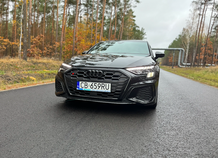 Audi S3 2.0 TFSI (2021)