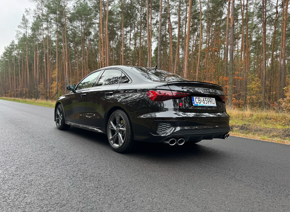 Audi S3 2.0 TFSI (2021)