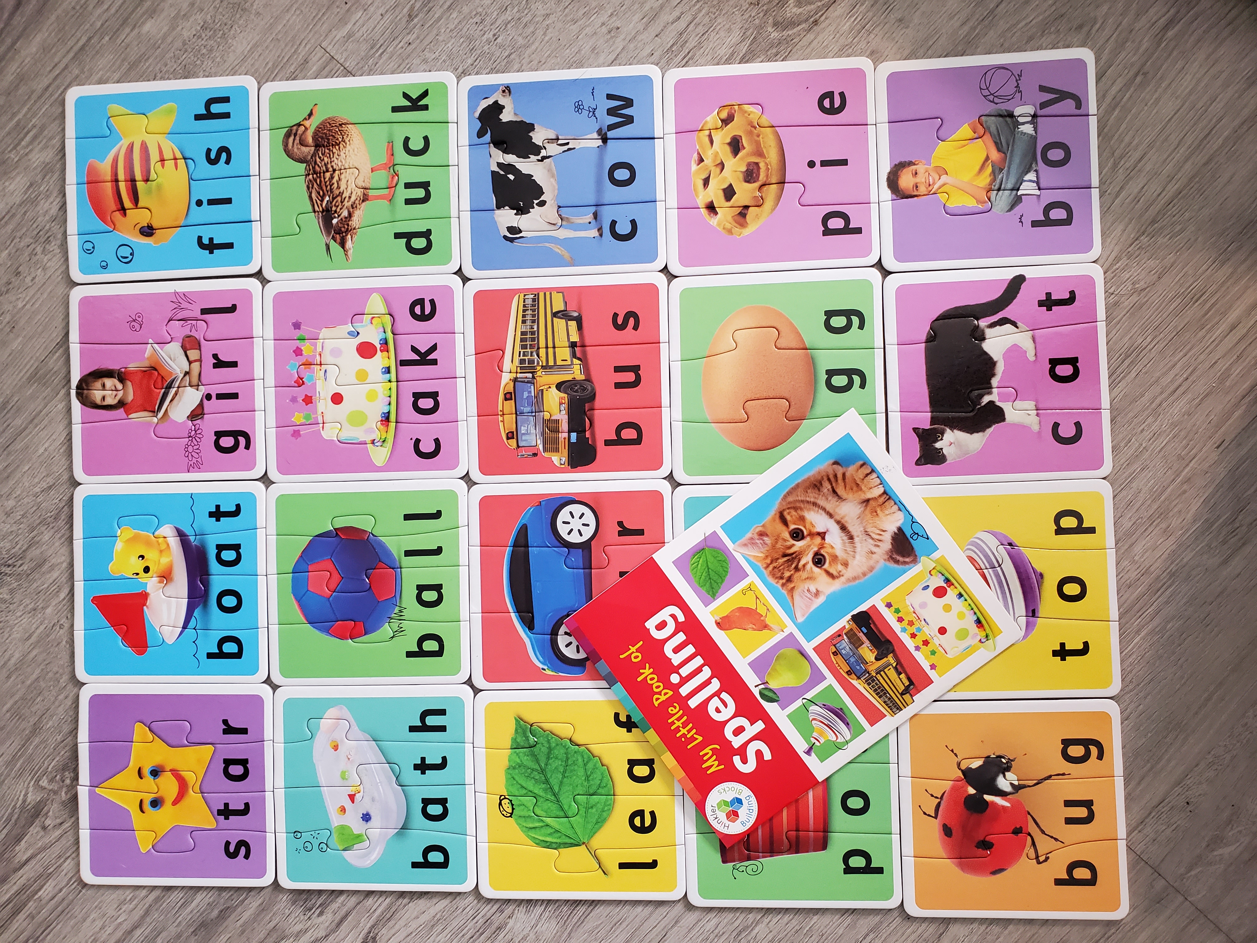 Match & Learn Spelling Fun