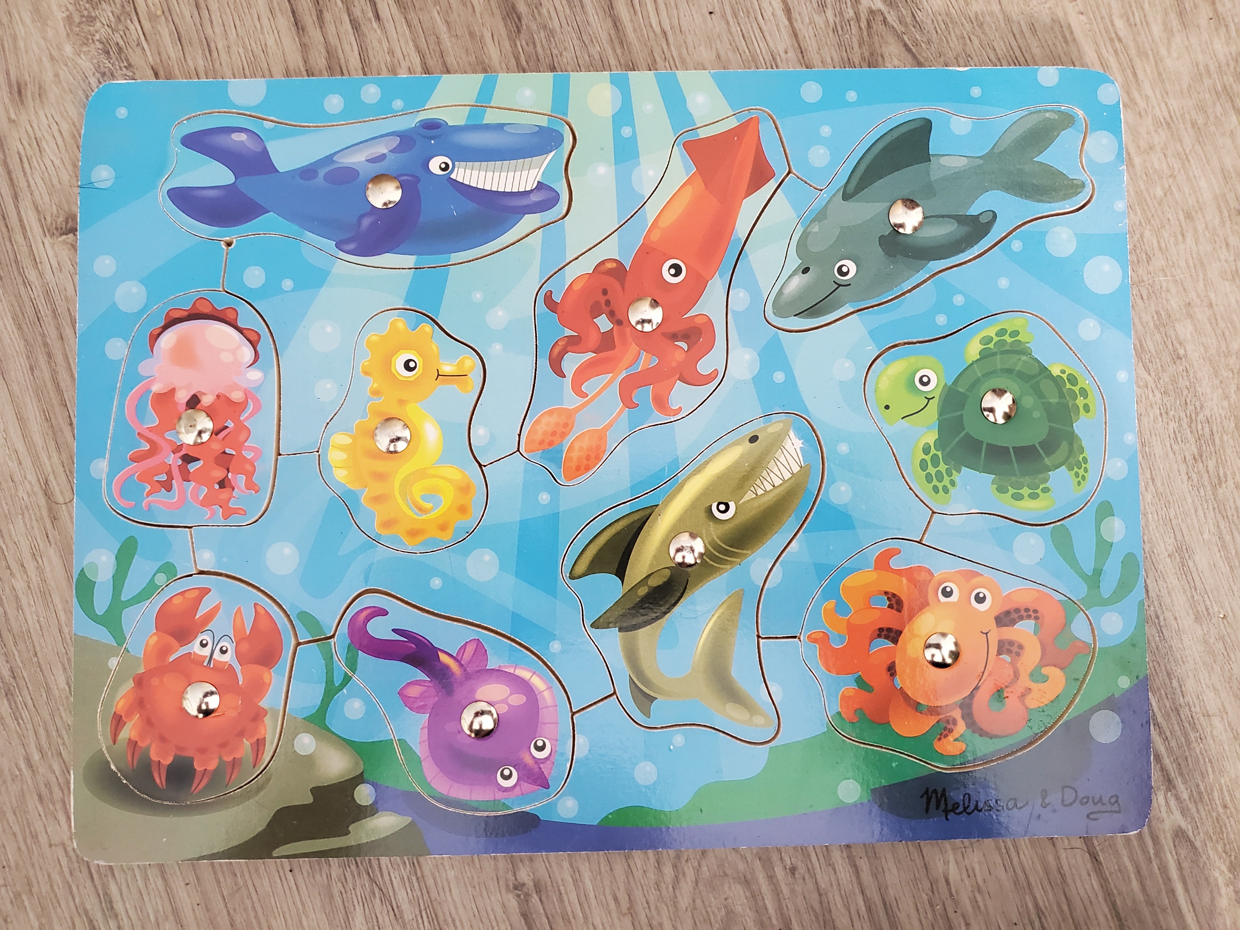 Magnetic Wooden Game - Fishing