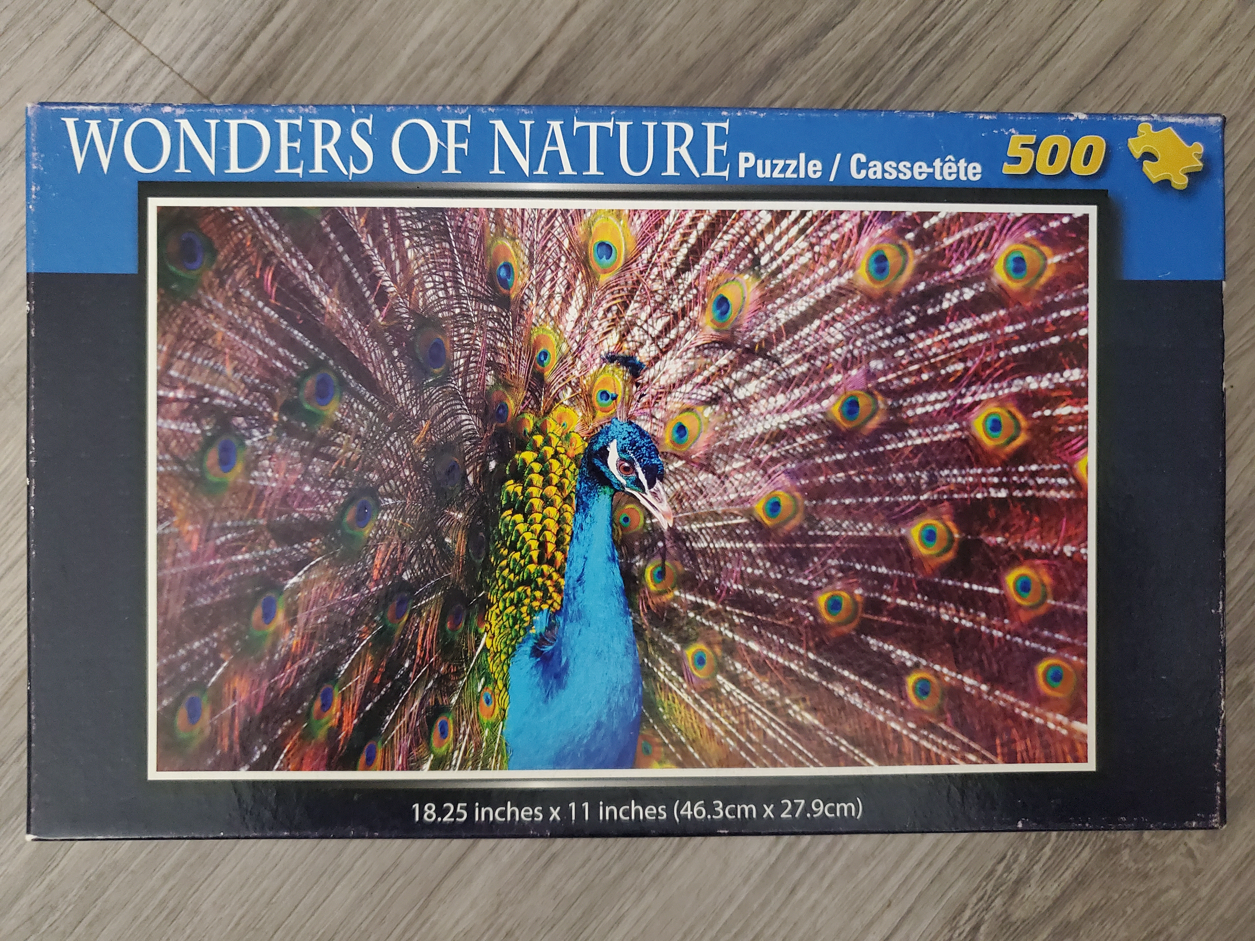 Wonders of Nature: Peacock