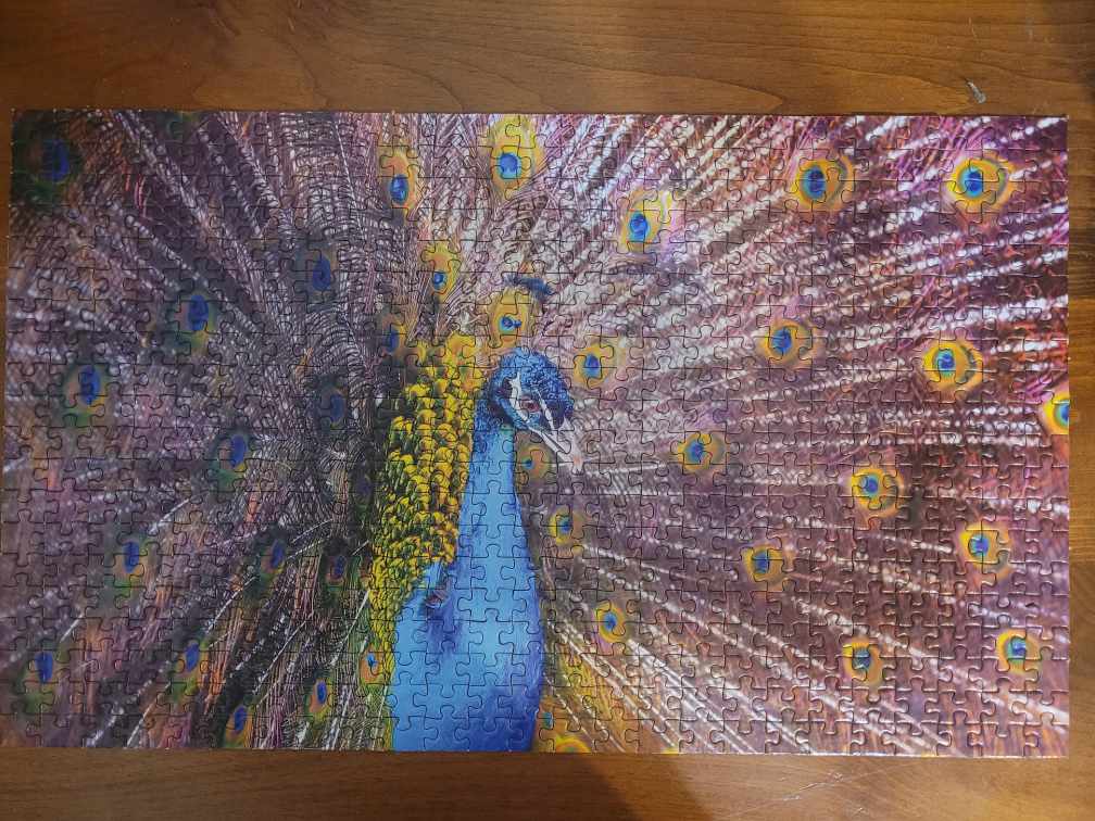 Wonders of Nature: Peacock