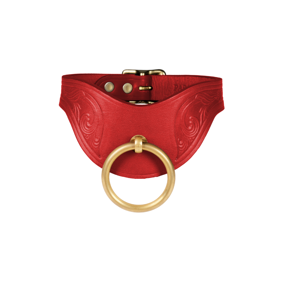 NS PAPA SAM COLLAR - Soft Cage