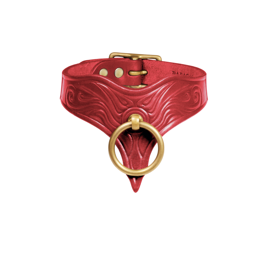 NS PAPA SAM COLLAR - Skin Shield