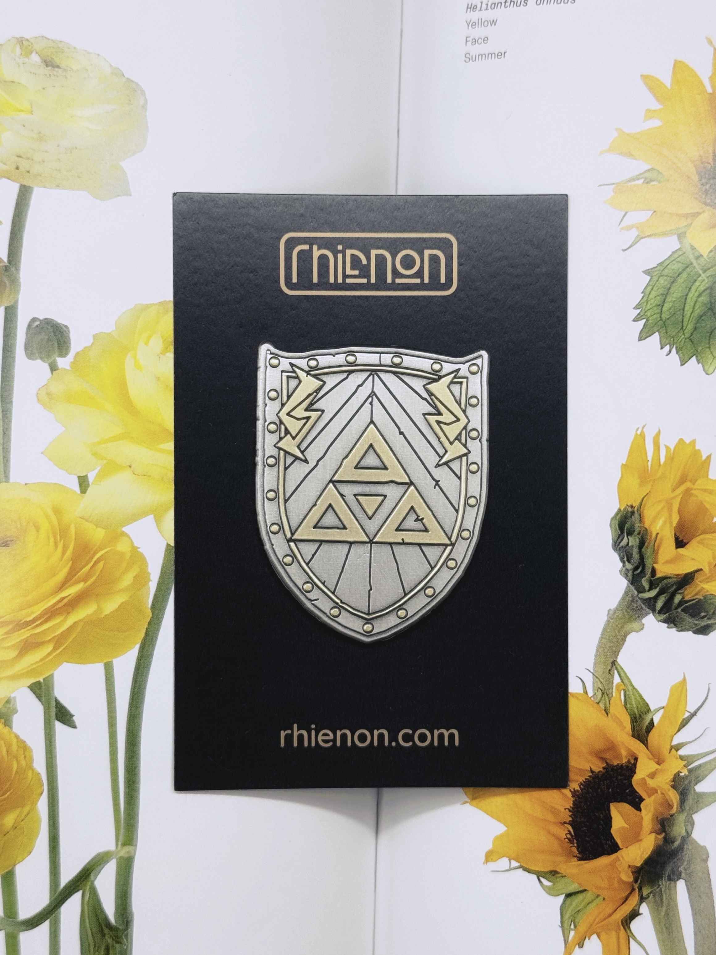 Sword and Shield Pin Set