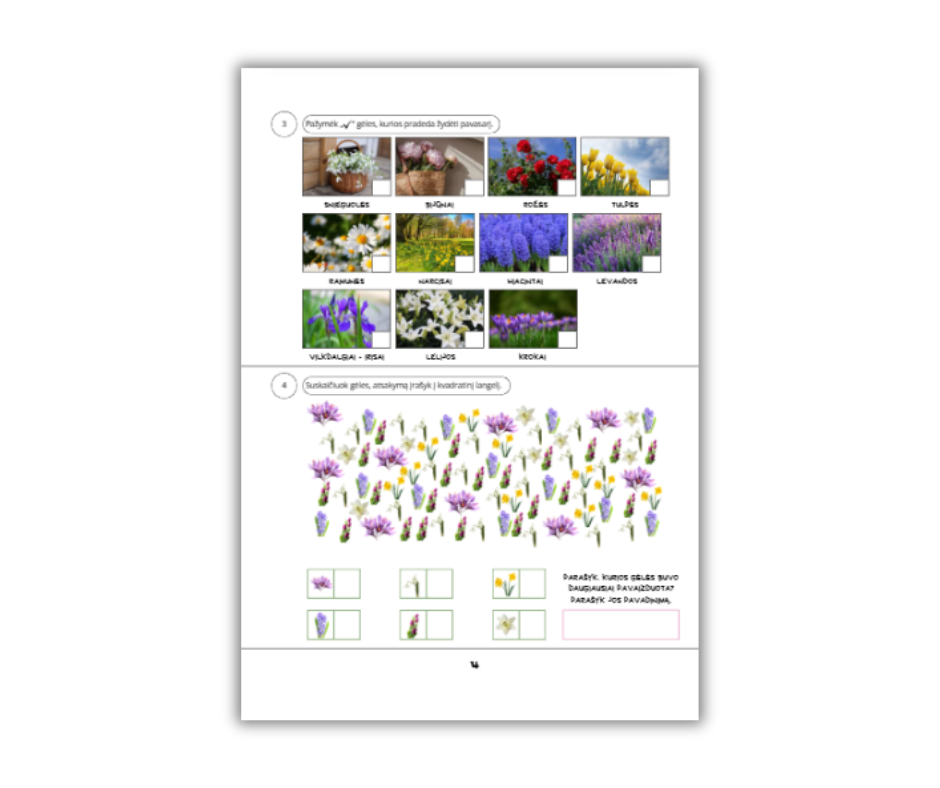 Pavasario detektyvai