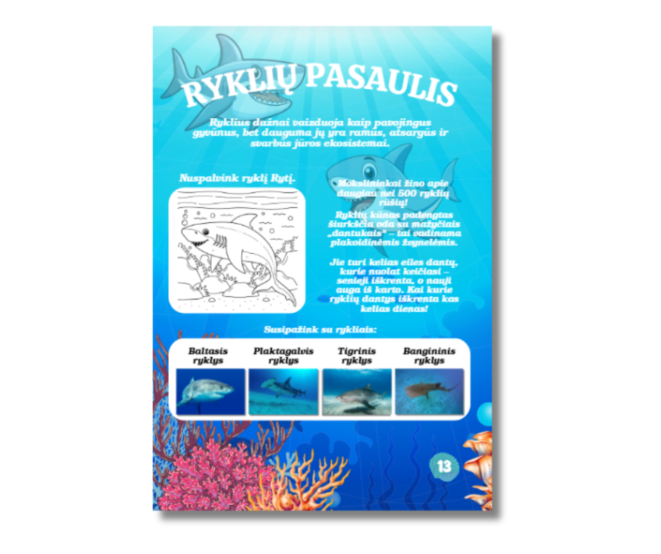 Magiškas jūros pasaulis