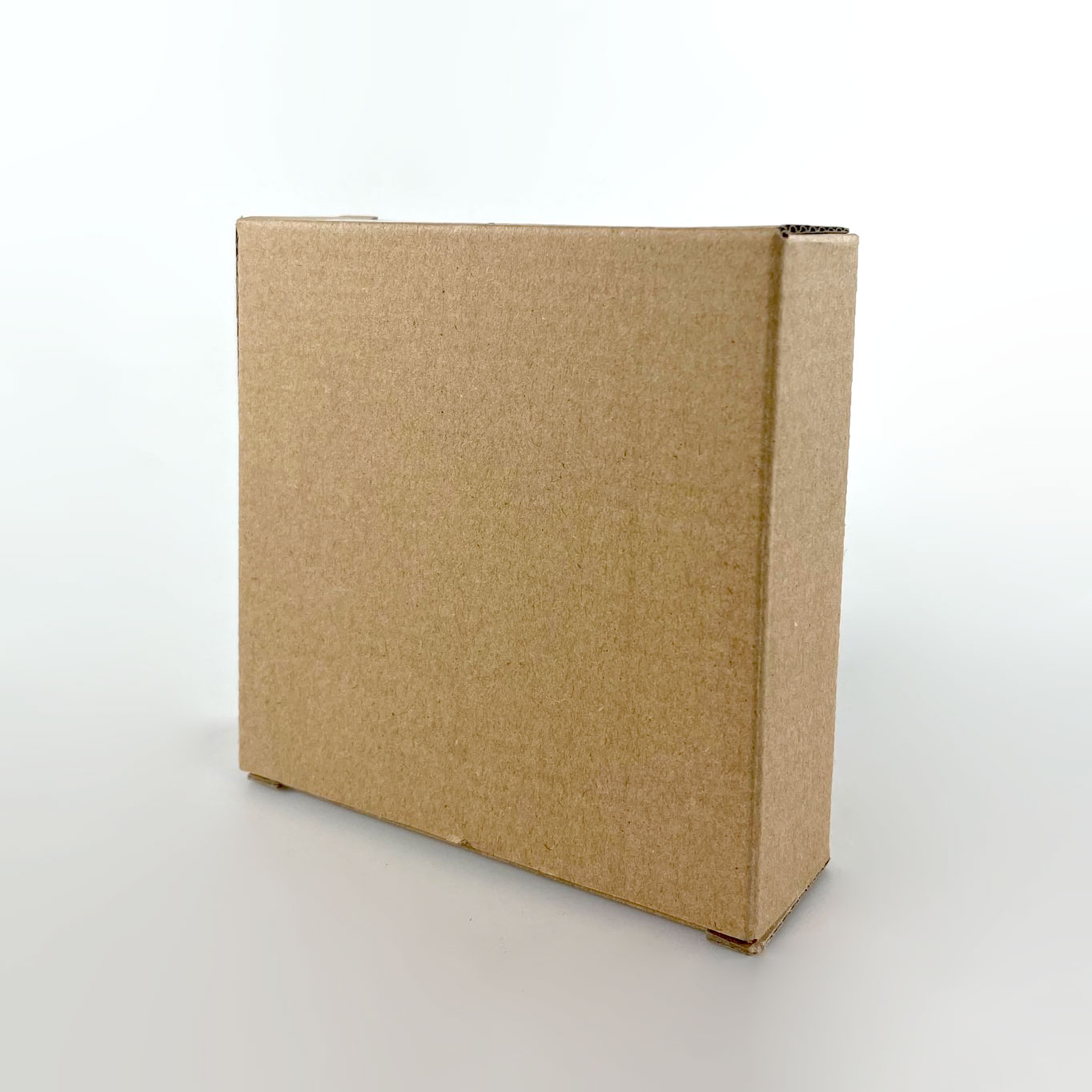 Decorative Garden Light Ground Light Solar Sensor Waterproof 20 LED - RB20 - Warm White