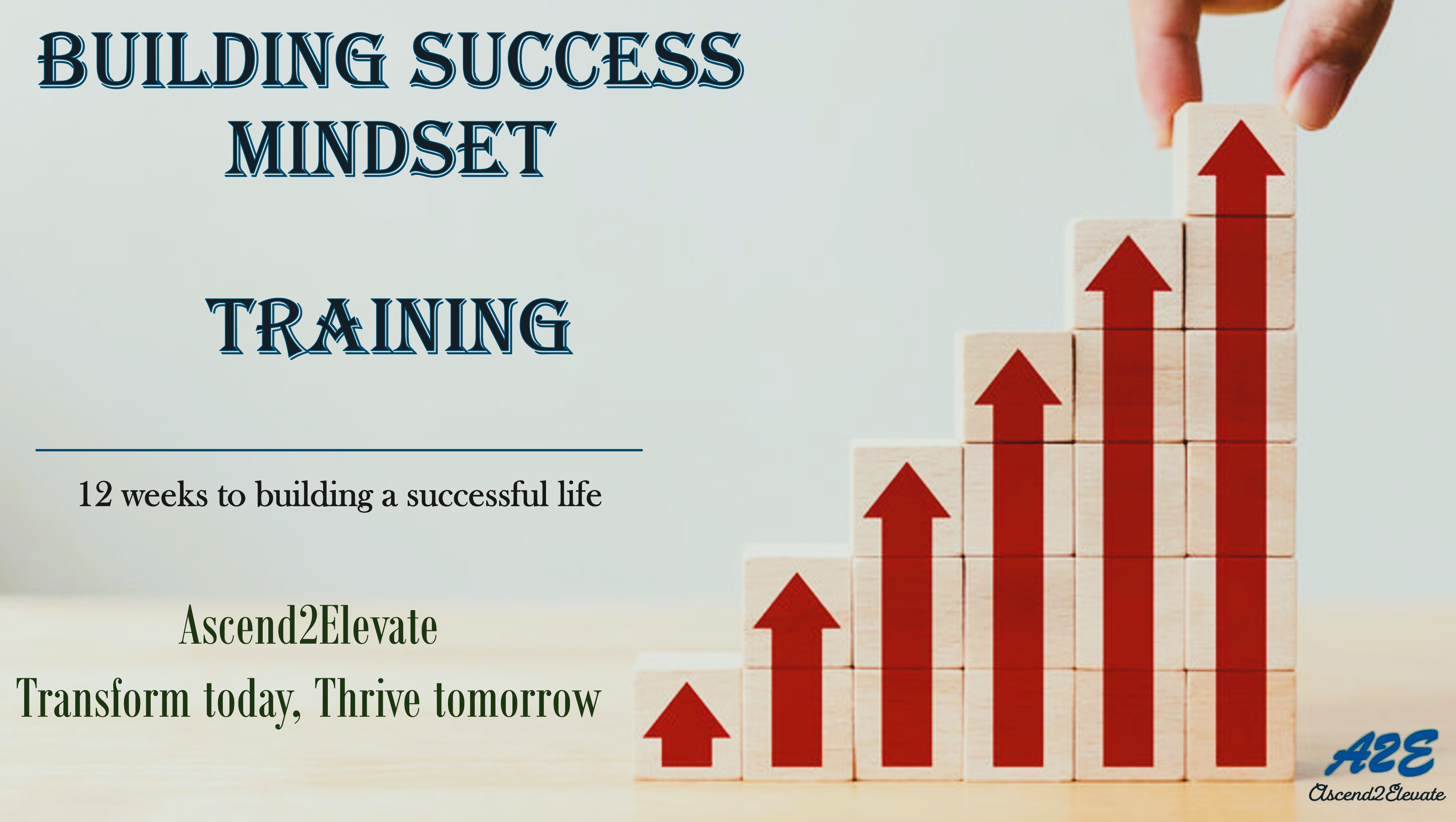 Success Mindset Training for a Successful Life