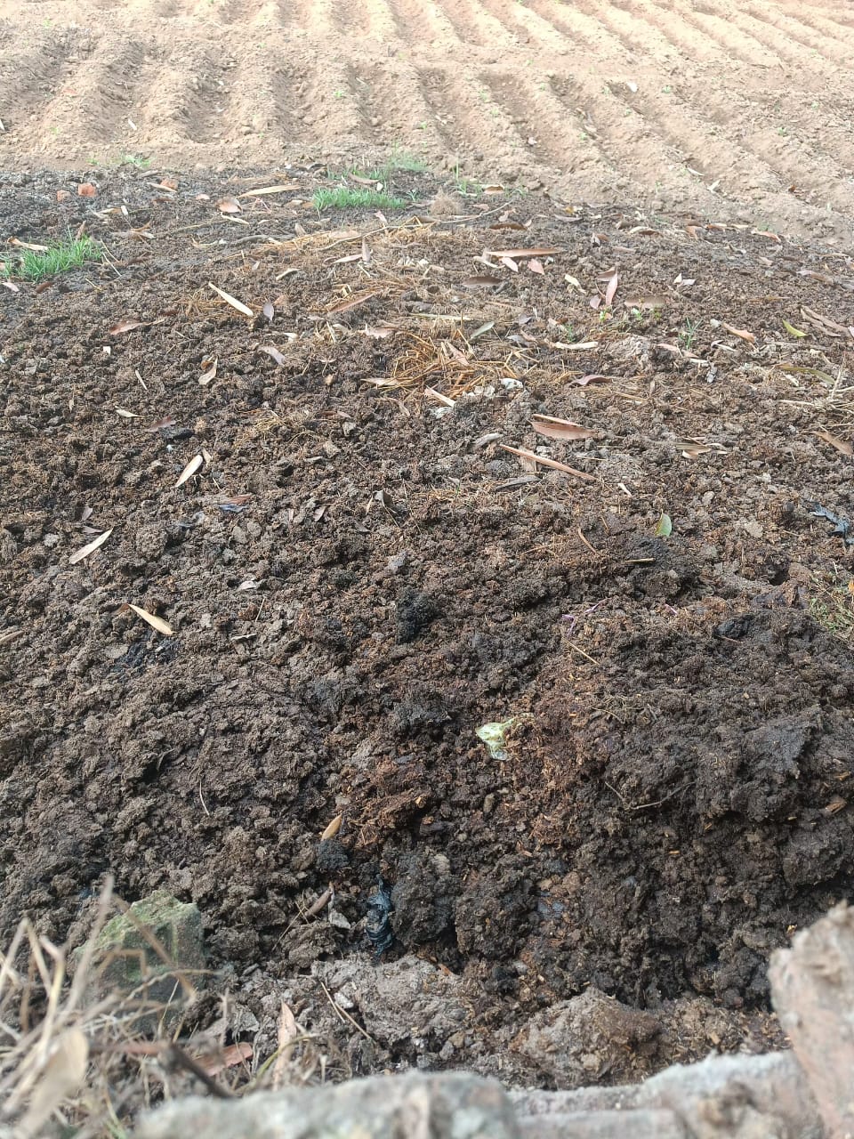 Property for sale besides nagar van giridih jharkhand