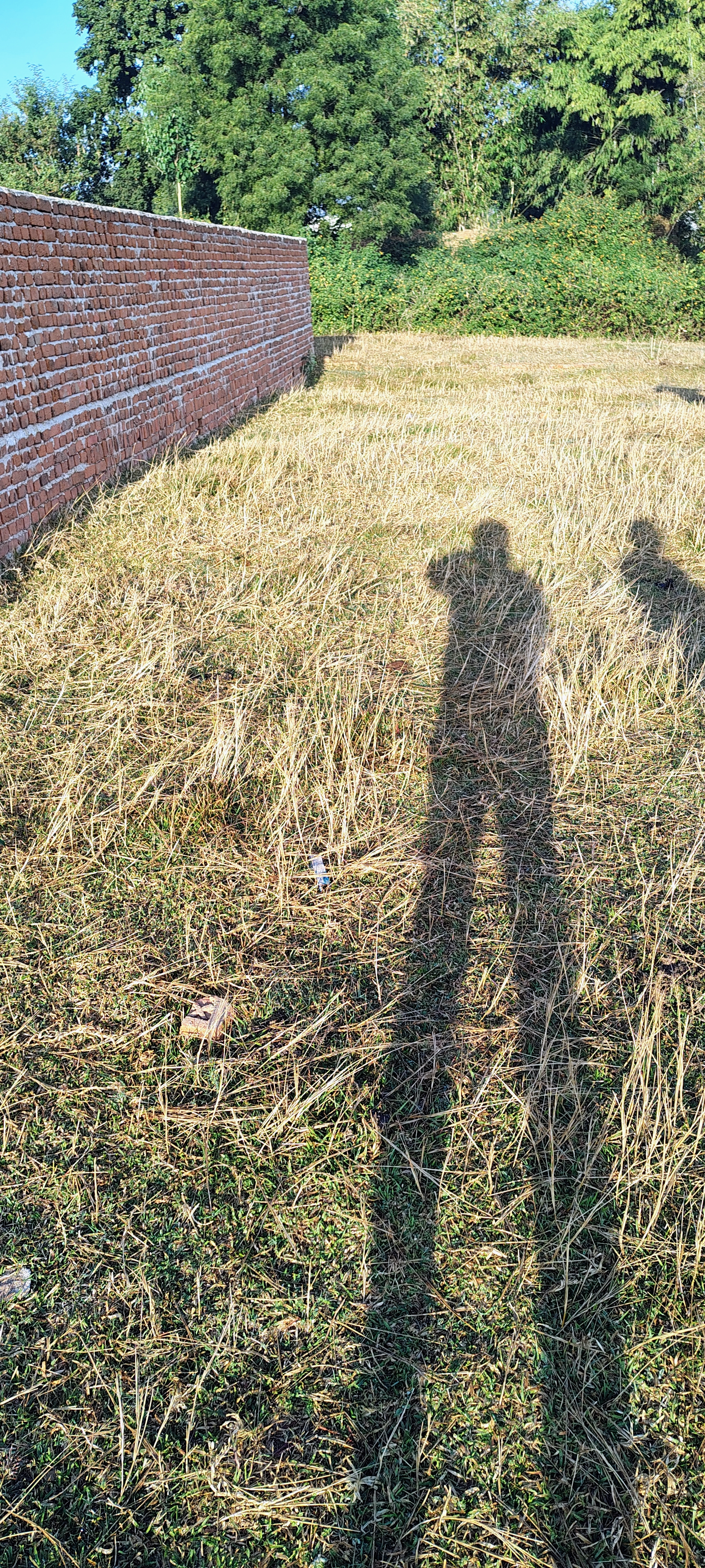  plot for sale near Giridih college mode ,