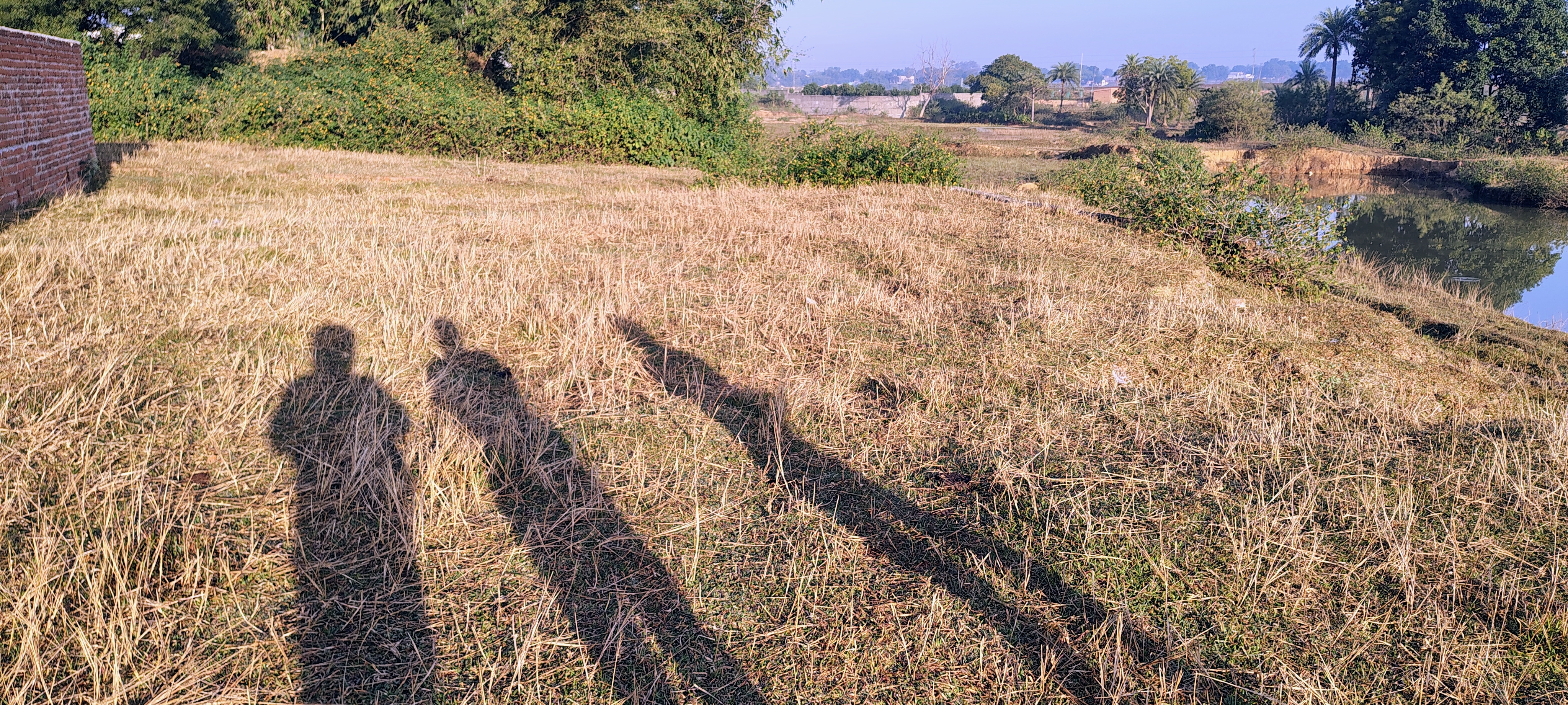  plot for sale near Giridih college mode ,